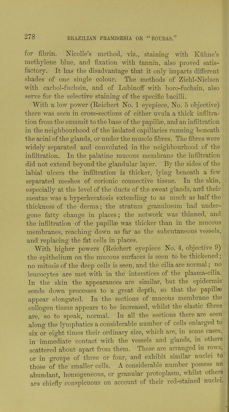 for fibrin. Nicolle’s method., viz., staining with Kiihne’s methylene blue, and fixation with tannin, also proved satis- factory. It has the disadvantage that it only imparts different shades of one single colour. The methods of Ziehl-Nielsen with carbol-fuchsin, and of Lubinoff with boro-fuchsin, also serve for the selective staining of the specific bacilli. With a low power (Reichert No. 1 eyepiece, No. 5 objective) there was seen in cross-sections of either uvula a thick infiltra- tion from the summit to the base of the papillae, and an infiltration in the neighbourhood of the isolated capillaries running beneath the acini of the glands, or under the muscle fibres. The fibres were widely separated and convoluted in the neighbourhood of the infiltration. In the palatine mucous membrane the infiltration did not extend beyond the glandular layer. By the sides of the labial ulcers the infiltration is thicker, lying beneath a few separated meshes of corionic connective tissue. In the skin, especially at the level of the ducts of the sweat glands, and their meatus was a hyperkeratosis extending to as much as half the thickness of the derma; the stratum granulosum had under- gone fatty change in places; the network was thinned, and the infiltration of the papillae was thicker than in the mucous membranes, reaching down as far as the subcutaneous vessels, and replacing the fat cells in places. With higher powers (Reichert eyepiece No. 4, objective 9) the epithelium on the mucous surfaces is seen to be thickened; no mitosis of the deep cells is seen, and the cilia are normal; no leucocytes are met with in the interstices of the plasma-cilia. In the skin the appearances are similar, but the epidermis sends down processes to a great depth, so that the papilla appear elongated. In the sections of mucous membrane the collogen tissue appears to be increased, whilst the elastic fibres are, so to speak, normal. In all the sections there are seen along the lymphatics a considerable number of cells enlarged to six or eight times their ordinary size, which are, in some cases, in immediate contact with the vessels and glands, in others scattered about apart from them. These are arranged in rows, or in groups of three or four, and exhibit similar nuclei to those of the smaller cells. A considerable number possess an abundant, homogeneous, or granular protoplasm, whilst others are chiefly conspicuous on account of their red-stained nuclei.