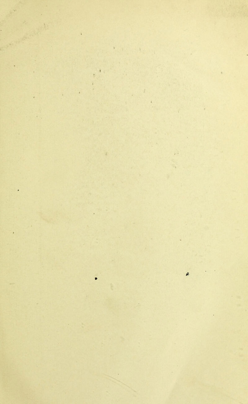 4 ■ V '%■ P 1 s i i Sf-' -t;'- H •k