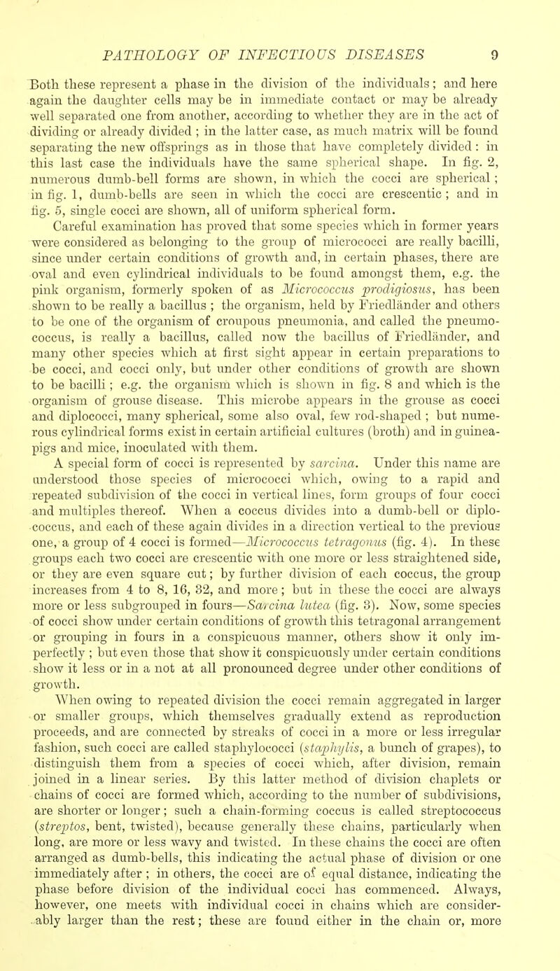 'Both these represent a phase m the division of the individuals; and here again the daughter cells may be in immediate contact or may be already well separated one from another, according to whether they are in the act of dividing or already divided ; in the latter case, as much matrix will be found separating the new offsprings as in those that have completely divided: in this last case the individuals have the same spherical shape. In fig. 2, numerous dumb-bell forms are shown, in which the cocci are spherical ; in fig. 1, dumb-bells are seen in which the cocci are crescentic ; and in fig. 5, single cocci are shown, all of uniform spherical form. Careful examination has proved that some species which in former years were considered as belonging to the group of micrococci are really bacilH, since under certain conditions of growth and, in certain phases, there are oval and even cylindrical individuals to be found amongst them, e.g. the pink organism, formerly spoken of as Micrococcus prodigiosus, has been shown to be really a bacillus ; the organism, held by Friedlander and others to be one of the organism of croupous pneumonia, and called the pneumo- coccus, is really a bacillus, called now the bacillus of Friedlander, and many other species which at first sight appear in certain preparations to be cocci, and cocci only, but under other conditions of growth are shown to be bacilli; e.g. the oi'ganism which is shown in fig. 8 and which is the organism of grouse disease. This microbe appears in the grouse as cocci and diplococci, many spherical, some also oval, few rod-shaped ; but nume- rous cylindrical forms exist in certain artificial cultures (broth) and in guinea- pigs and mice, inoculated with them. A special form of cocci is represented by sarcina. Under this name are understood those species of micrococci which, owing to a rapid and repeated subdivision of the cocci in vertical lines, form groups of four cocci and multiples thereof. When a coccus divides into a dumb-bell or diplo- •coccus, and each of these again divides in a direction vertical to the previous one, a group of 4 cocci is formed—Micrococcus tctragoiius (fig. 4). In these groups each two cocci are crescentic with one more or less straightened side, or they are even square cut; by further division of each coccus, the group increases from 4 to 8, 16, 32, and more; but in these the cocci are always more or less subgrouped in fours—Sa-icina lutea (fig. 3). Now, some species of cocci show under certain conditions of growth this tetragonal arrangement or grouping in fours in a conspicuous manner, others show it only im- perfectly ; but even those that show it conspicuously under certain conditions show it less or in a not at all pronounced degree under other conditions of growth. When owing to repeated division the cocci remain aggregated in larger ■ or smaller groups, which themselves gradually extend as reproduction proceeds, and are connected by streaks of cocci in a more or less irregular fashion, such cocci are called staphylococci {staphylis, a bunch of grapes), to distinguish them from a species of cocci which, after division, remain joined in a linear series. By this latter method of division chaplets or chains of cocci are formed which, according to the number of subdivisions, are shorter or longer; such a chain-forming coccus is called streptococcus {streptos, bent, twisted), because generally these chains, particularly when long, are more or less wavy and twisted. In these chains the cocci are often arranged as dumb-bells, this indicating the actual phase of division or one immediately after ; in others, the cocci are of equal distance, indicating the phase before division of the individual cocci has commenced. Always, however, one meets with individual cocci in chains which are consider- .ably larger than the rest; these are found either in the chain or, more