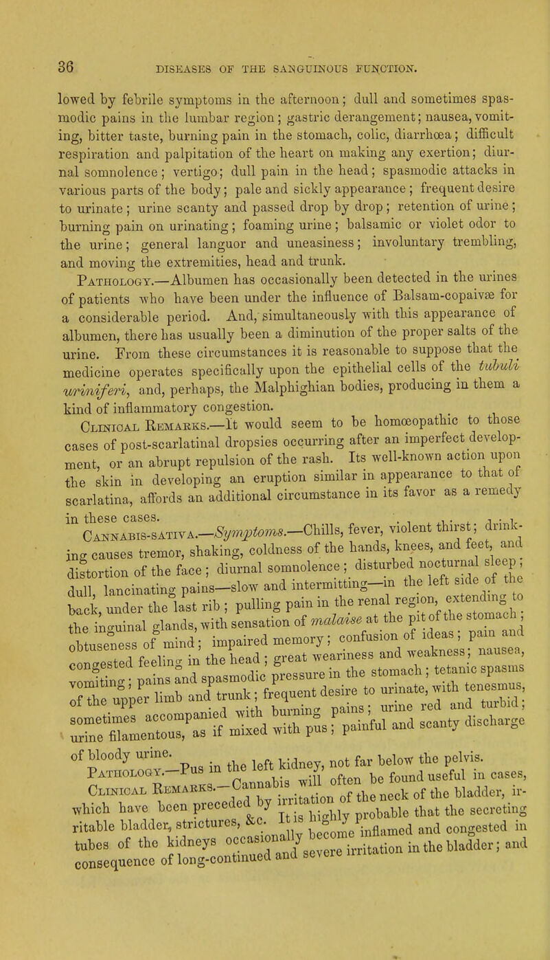 lowed by febrile symptoms in the afternoon; dull and sometimes spas- modic pains in the lumbar region; gastric derangement; nausea, vomit- ing, bitter taste, burning pain in the stomach, colic, diarrhoea; difficult respiration and palpitation of the heart on making any exertion; diur- nal somnolence ; vertigo; dull pain in the head; spasmodic attacks in various parts of the body; pale and sickly appearance; frequent desire to urinate ; urine scanty and passed drop by drop ; retention of urine; burning pain on urinating; foaming urine ; balsamic or violet odor to the urine; general languor and uneasiness; involuntary trembling, and moving the extremities, head and trunk. Pathology.—Albumen has occasionally been detected in the urines of patients who have been under the influence of Balsam-copaivas for a considerable period. And, simultaneously with this appearance of albumen, there has usually been a diminution of the proper salts of the urine. From these circumstances it is reasonable to suppose that the medicine operates specifically upon the epithelial cells of the tubuU v/riniferi, and, perhaps, the Malphighian bodies, producing in them a kind of inflammatory congestion. CLmioAL Remarks.—It would seem to be homoeopathic to those cases of post-scarlatinal dropsies occurring after an imperfect develop- ment, or an abrupt repulsion of the rash. Its well-known action upon the skin in developing an eruption similar in appearance to that ot scarlatina, affords an additional circumstance in its favor as a remedy in these cases. . , , . . , , • i CANNABIS-sATIyA.-^^/...i;^.^^^^.-Chills, fever, violent thirst; drink- ing causes tremor, shaking, coldness of the hands, knees, and fee and distortion of the face ; diurnal somnolence ;_ disturbed nocturna sleep dull lancinating pains-slow and intermittmg-m the left side of the L k, thel'st rib ; pulling pain in the ^^^^^ the iUuinal glands, with sensation of malmse at the pit of the stomach btusenessof'mind; impaired memory; -fus.oyf i^^^^^^^^^^ ron^rested feelin- in the head ; great weariness and weakness , nausea of bloody urine. ^ l^is. Pathology.-Pus in the l^ft kidney, no. Clinioal REMABKS.-Cannabis f^^^^^^ ^he bladder, ir- .hich have l^oen preceded by n—^^^^ ritable bladder, strictures, &c. I is ^/ .ingested in tubes of the kidneys ^--J^^^^^^^^ consequence of long-continued and severe