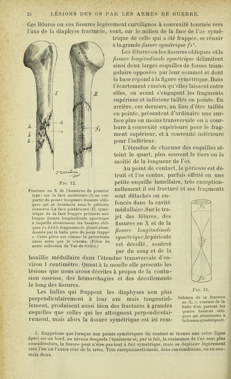 Ces fêlures ou ces fissures légèrement curvilignes à convexité tournée vers l’axe de la diaphyse fracturée, vont, sur le milieu de la face de l’os symé¬ trique de celle qui a été frappée, se réunir à la grande fissure symétrique fs1. Les fêlures ouïes fissures obliques et la fissure longitudinale symétrique délimitent ainsi deux larges esquilles de forme trian¬ gulaire opposées parleur sommet et dont la base répond à la figure symétrique. Dans l’écartement cunéen qu’elles laissent entre elles, en avant s’engagent les fragments supérieur et inférieur taillés en pointe. En arrière, ces derniers, au lieu d’être taillés en pointe, présentent d’ordinaire une sur¬ face plus ou moins transversale ou à cour¬ bure à convexité supérieure pour le frag¬ ment supérieur, et à convexité inférieure pour l’inférieur. L’étendue de chacune des esquilles at¬ teint le quart, plus souvent le tiers ou la moitié de la longueur de l’os. Au point de contact, le périoste est dé¬ truit et l’os contus, parfois effrité en une petite esquille lamellaire, très exception¬ nellement il est fracturé et ses sont détachés ou en¬ foncés dans la cavité médullaire.Sur le tra¬ jet des fêlures, des fissures en X et de la fissure longitudinale symétrique,le périoste est décollé, soulevé par du sang et de la bouillie médullaire dans l’étendue transversale d’en¬ viron 1 centimètre. Quant à la moelle elle présente les lésions que nous avons décrites à propos de la contu¬ sion osseuse, des hémorrhagies et des décollements le long des fissures. Les balles qui frappent les diaphyses non plus perpendiculairement à leur axe mais tangentiel- lement, produisent aussi bien des fractures à grandes esquilles que celles qui les atteignent perpendiculai¬ rement, mais alors la fissure symétrique est ici rem- Fig. 12. Fracture en X de l’humérus du premier type: sur la face antérieure (I) on voit partir du pointe les quatre fissures obli¬ ques qui se dessinent sous le périoste conservé. La face postérieure (II) symé¬ trique de la face frappée présente une longue fissure longitudinale symétrique à laquelle aboutissent les fissures obli¬ ques fs.bbbb, fragments de plomb aban¬ donnés par la balle près du point frappé c. Cette pièce est comme la précédente aussi nette que le schéma. (Pièce de notre collection du Val-de-Grâce.) fragments Fig. 13. Schéma de la fracture en X, c, contact de la balle d’où partent les quatre fissures obli¬ ques qui aboutissent à la fissure symétrique/s. 1. Rappelons que lorsque aux points symétriques du contact se trouve une crête (ligne âpre) ou un bord, au niveau desquels l’épaisseur et, par le fait, la résistance de l’os sont plus considérables, la fissure peut n’être pas tout à fait symétrique, mais se déplacer légèrement vers l'un ou l’autre côté de la crête. Très exceptionnellement, dans ces conditions, on en con¬ state deux.