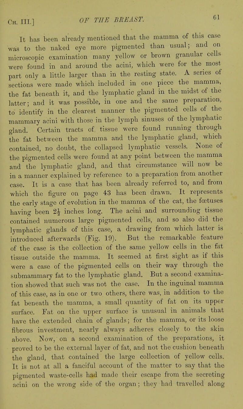 It has been already mentioned that the mamma of this case was to the naked eye more pigmented than usual; and on microscopic examination many yellow or brown granular cells were found in and around the acini, which were for the most part only a little larger than in the resting state. A series of sections were made which included in one piece the mamma, the fat beneath it, and the lymphatic gland in the midst of the latter; and it was possible, in one and the same preparation, to identify in the clearest manner the pigmented cells of the mammary acini with those in the lymph sinuses of the lymphatic gland. Certain tracts of tissue were found running through the fat between the mamma and the lymphatic gland, which contained, no doubt, the collapsed lymphatic vessels. None of the pigmented cells were found at any point between the mamma and the lymphatic gland, and that circumstance will now be in a manner explained by reference to a preparation from another case. It is a case that has been already referred to, and from which the figure on page 43 has been drawn. It represents the early stage of evolution in the mamma of the cat, the foetuses having been 2^ inches long. The acini and surrounding tissue contained numerous large pigmented cells, and so also did the lymphatic glands of this case, a drawing from which latter is introduced afterwards (Fig. 19). But the remarkable feature of the case is the collection of the same yellow cells in the fat tissue outside the mamma. It seemed at first sight as if this were a case of the pigmented cells on their way through the submammary fat to the lymphatic gland. But a second examina- tion showed that such was not the case. In the inguinal mamma of this case, as in one or two others, there was, in addition to the fat beneath the mamma, a small quantity of fat on its upper surface. Fc\t on the upper surface is unusual in animals that have the extended chain of glands; for the mamma, or its loose fibrous investment, nearly always adheres closely to the skin above. Now, on a second examination of the preparations, it proved to be the external layer of fat, and not the cushion beneath the gland, that contained the large collection of yellow cells. It is not at all a fanciful account of the matter to say that the pigmented waste-cells had made their escape from the secreting acini on the wrong side of the organ ; they had travelled along