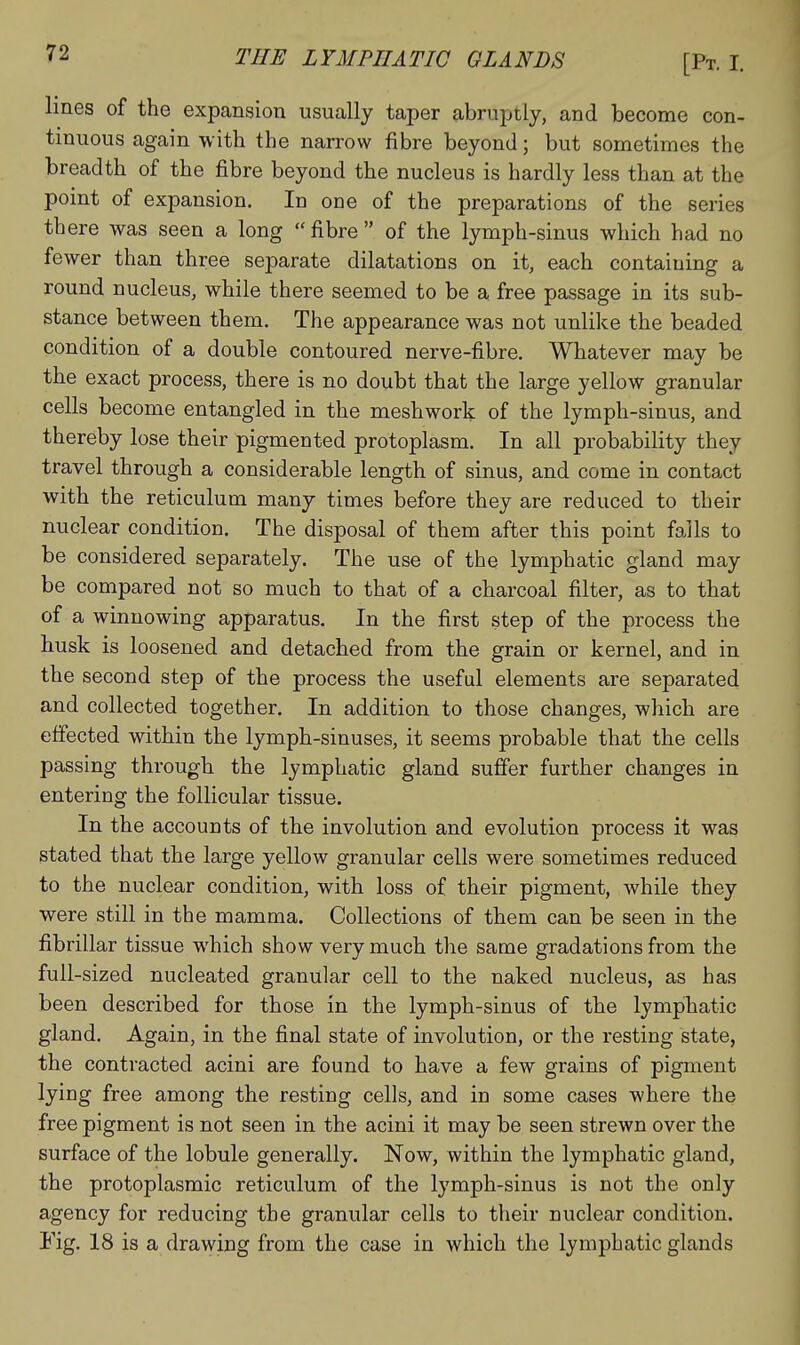 lines of the expansion usually taper abruptly, and become con- tinuous again with the narrow fibre beyond; but sometimes the breadth of the fibre beyond the nucleus is hardly less than at the point of expansion. In one of the preparations of the series there was seen a long fibre of the lymph-sinus which had no fewer than three separate dilatations on it, each containing a round nucleus, while there seemed to be a free passage in its sub- stance between them. The appearance was not unlike the beaded condition of a double contoured nerve-fibre. Whatever may be the exact process, there is no doubt that the large yellow granular cells become entangled in the meshwork of the lymph-sinus, and thereby lose their pigmented protoplasm. In all probability they travel through a considerable length of sinus, and come in contact with the reticulum many times before they are reduced to their nuclear condition. The disposal of them after this point falls to be considered separately. The use of the lymphatic gland may be compared not so much to that of a charcoal filter, as to that of a winnowing apparatus. In the first step of the process the husk is loosened and detached from the grain or kernel, and in the second step of the process the useful elements are separated and collected together. In addition to those changes, which are effected within the lymph-sinuses, it seems probable that the cells passing through the lymphatic gland suffer further changes in entering the follicular tissue. In the accounts of the involution and evolution process it was stated that the large yellow granular cells were sometimes reduced to the nuclear condition, with loss of their pigment, while they were still in the mamma. Collections of them can be seen in the fibrillar tissue which show very much the same gradations from the full-sized nucleated granular cell to the naked nucleus, as has been described for those in the lymph-sinus of the lymphatic gland. Again, in the final state of involution, or the resting state, the contracted acini are found to have a few grains of pigment lying free among the resting cells, and in some cases where the free pigment is not seen in the acini it may be seen strewn over the surface of the lobule generally. Now, within the lymphatic gland, the protoplasmic reticulum of the lymph-sinus is not the only agency for reducing the granular cells to their nuclear condition. Fig. 18 is a drawing from the case in which the lymphatic glands