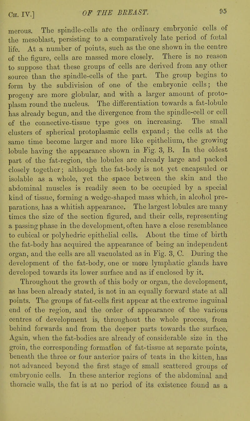 meroiis. The spindle-cells ate the ordinary embryonic cells of the mesoblast, persisting to a comparatively late period of foital life. At a number of points, such as the one shown in the centre of the figure, cells are massed more closely. There is no reason to suppose that these groups of cells are derived from any other source than the spindle-cells of the part. The group begins to form by the subdivision of one of the embryonic cells; the progeny are more globular, and with a larger amount of proto- plasm round the nucleus. The differentiation towards a fat-lobule has already begun, and the divergence from the spindle-cell or cell of the connective-tissue type goes on increasing. The small clusters of spherical protoplasmic cells expand; the cells at the same time become larger and more like epithelium, the growing lobule having the appearance shown in Fig. 3, B. In the oldest part of the fat-region, the lobules are already large and packed closely together; although the fat-body is not yet encapsuled or isolable as a whole, yet the space between the skin and the abdominal muscles is readily seen to be occupied by a special kind of tissue, forming a wedge-shaped mass which, in alcohol pre- parations, has a whitish appearance. The largest lobules are many times the size of the section figured, and their cells, representing a passing phase in the development, often have a close resemblance to cubical or polyhedric epithelial cells. About the time of birth the fat-body has acquired the appearance of being an independent organ, and the cells are all vacuolated as in Fig. 3, C. During the development of the fat-body, one or more lymphatic glands have developed towards its lower surface and as if enclosed by it. Throughout the growth of this body or organ, the development, as has been already stated, is not in an equally forward state at all points. The groups of fat-cells first appear at the extreme inguinal end of the region, and the order of appearance of the various centres of development is, throughout the whole process, from behind forwards and from the deeper parts towards the surface. Again, when the fat-bodies are already of considerable size in the groin, the corresponding formation of fat-tissue at separate points, beneath the three or four anterior pairs of teats in tlie kitten, has not advanced beyond the first stage of small scattered groups of embryonic cells. In these anterior regions of the abdominal and thoracic walls, the fat is at no period of its existence found as a