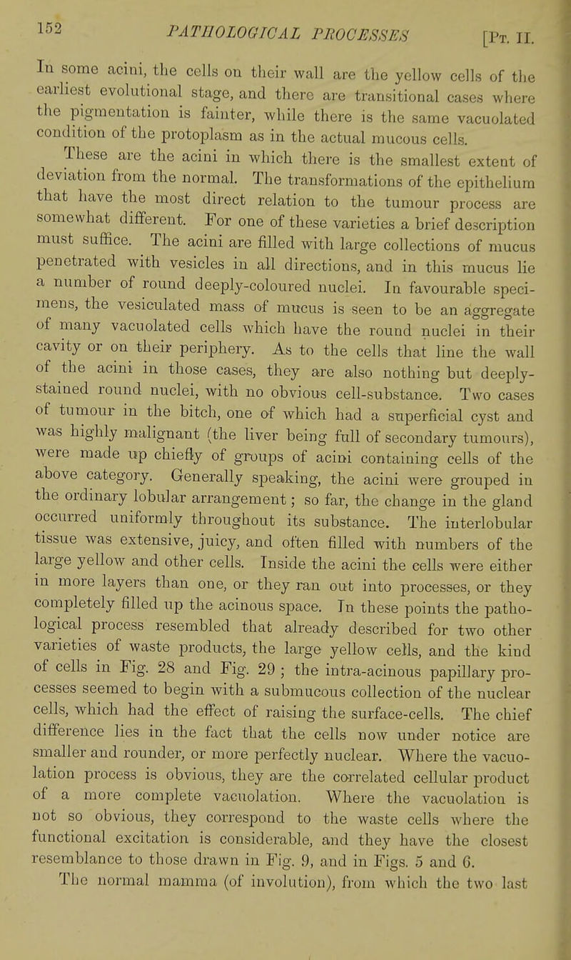 In some acini, the cells on their wall are the yellow cells of the earliest evolutional stage, and there are transitional cases where the pigmentation is fainter, while there is the same vacuolated condition of the protoplasm as in the actual mucous cells. These are the acini in which there is the smallest extent of deviation from the normal. The transformations of the epithelium that have the most direct relation to the tumour process are somewhat different. For one of these varieties a brief description must suffice. The acini are filled with large collections of mucus penetrated with vesicles in all directions, and in this mucus lie a number of round deeply-coloured nuclei. In favourable speci- mens, the vesiculated mass of mucus is seen to be an aggregate of many vacuolated cells which have the round nuclei in their cavity or on their periphery. As to the cells that line the wall of the acini in those cases, they are also nothing but deeply- stained round nuclei, with no obvious cell-substance. Two cases of tumour in the bitch, one of which had a superficial cyst and was highly malignant (the liver being full of secondary tumours), were made itp chiefly of groups of acini containing cells of the above category. Generally speaking, the acini were grouped in the ordinary lobular arrangement; so far, the change in the gland occurred uniformly throughout its substance. The interlobular tissue was extensive, juicy, and often filled with numbers of the large yellow and other cells. Inside the acini the cells were either in more layers than one, or tbey ran out into processes, or they completely filled up the acinous space. In these points the patho- logical process resembled that already described for two other varieties of waste products, the large yellow cells, and the kind of cells in Fig. 28 and Fig. 29 ; the intra-acinous papillary pro- cesses seemed to begin with a submucous collection of the nuclear cells, which had the effect of raising the surface-cells. The chief diffe rence lies in the fact that the cells now under notice are smaller and rounder, or more perfectly nuclear. Where the vacuo- lation process is obvious, they are the correlated cellular product of a more complete vacuolation. Where the vacuolation is not so obvious, they correspond to the waste cells where the functional excitation is considerable, and they have the closest resemblance to those drawn in Fig. .9, and in Figs. 5 and 6. The normal mamma (of involution), from which the two last