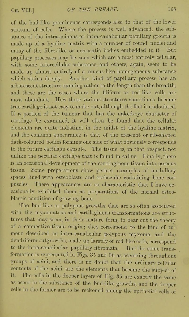 of the bud-like prominence corresponds also to that of the lower stratum of cells. Where the process is well advanced, the sub- stance of the intra-acinous or intra-canalicular papillary growth is made up of a hyaline matrix with a number of round nuclei and many of the fibre-like or crescentic bodies embedded in it. But papillary processes may be seen which are almost entirely cellular, with some intercellular substance, and others, again, seem to be made up almost entirely of a mucus-like homogeneous substance which stains deeply. Another kind of papillary process has an arborescent structure running rather to the length than the breadth, and these are the cases where the filiform or rod-like cells are most abundant. How those various structures sometimes become true cartilage is not easy to make out, although the fact is undoubted. If a portion of the tumour that has the naked-eye character of cartilage be examined, it will often be found that the cellular elements are quite indistinct in the midst of the hyaline matrix, and the common appearance is that of the crescent or rib-shaped dark-coloured bodies forming one side of what obviously corresponds to the future cartilage capsule. The tissue is, in that respect, not unlike the peculiar cartilage that is found in callus. Finally, there is an occasional development of the cartilaginous tissue into osseous tissue. Some preparations show perfect examples of medullary spaces lined with osteoblasts, and trabeculse containing bone cor- puscles. These appearances are so characteristic that I have oc- casionally exhibited them as preparations of the normal osteo- blastic condition of growing bone. The bud-like or polypous growths that are so often associated with the myxomatous and cartilaginous transformations are struc- tures that may seem, in their mature form, to bear out the theory of a connective-tissue origin; they correspond to the kind of tu- mour described as intra-canalicular polypous myxoma, and the dendriform outgrowths, made up largely of rod-like cells, correspond to the intra-canalicular papillary fibromata. But the same trans- formation is represented in Figs. So and 36 as occurring throughout groups of acini, and there is no doubt that the ordinary cellular contents of the acini are the elements that become the subject of it. The cells in the deeper layers of Fig. 85 are exactly the same as occur in the substance of the bud-like growths, and the deeper cells in the former are to be reckoned among the epithelial cells of