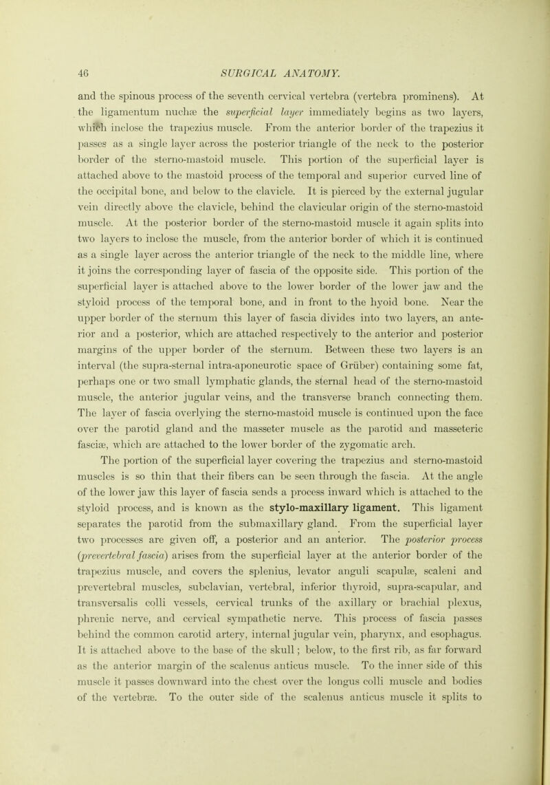 and the spinous process of the seventh cervical vertebra (vertebra prominens). At the ligamentum nuchse the superficial layer immediately begins as two layers, whi^h inclose the trapezius muscle. From the anterior border of the trapezius it passes as a single layer across the posterior triangle of the neck to the posterior border of the sterno-mastoid muscle. This portion of the superficial layer is attached above to the mastoid process of the temporal and superior curved line of the occipital bone, and below to the clavicle. It is pierced by the external jugular vein directly above the clavicle, behind the clavicular origin of the sterno-mastoid muscle. At the posterior border of the sterno-mastoid muscle it again splits into two layers to inclose the muscle, from the anterior border of which it is continued as a single layer across the anterior triangle of the neck to the middle line, where it joins the corresponding layer of fascia of the opposite side. This portion of the superficial layer is attached above to the lower border of the lower jaw and the styloid process of the temporal bone, and in front to the hyoid bone. Near the upper border of the sterimm this layer of fascia divides into two layers, an ante- rior and a posterior, which are attached respectively to the anterior and posterior margins of the upper border of the sternum. Between these two layers is an interval (the supra-sternal intra-aponeurotic space of Griiber) containing some fat, perhaps one or two small lymphatic glands, the sternal head of the sterno-mastoid muscle, the anterior jugular veins, and the transverse branch connecting them. The layer of fascia overlying the sterno-mastoid muscle is continued u.pon the face over the parotid gland and the masseter muscle as the parotid and masseteric fasciae, which are attached to the lower border of the zygomatic arch. The portion of the superficial layer covering the trapezius and sterno-mastoid muscles is so thin that their fibers can be seen through the fascia. At the angle of the lower jaw this layer of fascia sends a process inward which is attached to the styloid process, and is known as the stylo-maxillary ligament. This ligament separates the parotid from the submaxillary gland. From the superficial layer two processes are given off, a posterior and an anterior. The posterior process (prevertebral fascia) arises from the superficial layer at the anterior border of the trapezius muscle, and covers the splenius, levator anguli scapulse, scaleni and prevertebral muscles, subclavian, vertebral, inferior thyroid, supra-scapular, and transversalis colli vessels, cervical trunks of the axillary or brachial plexus, phrenic nerve, and cervical sympathetic nerve. This process of fascia passes behind the common carotid artery, internal jugular vein, pharynx, and esophagus. It is attached above to the base of the skull; below, to the first rib, as far forward as the anterior margin of the scalenus anticus muscle. To the inner side of this muscle it passes downward into the chest over the longus colli muscle and bodies of the vertebrae. To the outer side of the scalenus anticus muscle it splits to