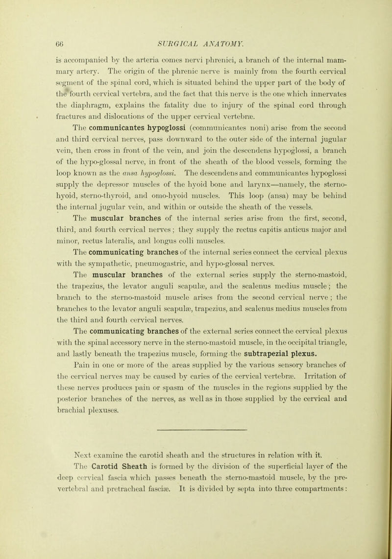 is accompanied by the arteria comes nervi plirenici, a branch of the internal mam- mary artery. The origin of the phrenic nerve is mainly from the fourth cervical segment of the spinal cord, which is situated behind the upper part of the body of the' fourth cervical vertebra, and the fact that this nerve is the one which innervates the diaphragm, explains the fatality due to injury of the spinal cord through fractures and dislocations of the upper cervical vertebrge. The communicantes hypoglossi (communicantes noni) arise from the second and third cervical nerves, pass downward to the outer side of the internal jugular vein, then cross in front of the vein, and join the descendens hypoglossi, a branch of the hypo-glossal nerve, in front of the sheath of the blood vessels, forming the loop known as the ansa hypoglossi. The descendens and communicantes hypoglossi supply the depressor muscles of the hyoid bone and larynx—namely, the sterno- hyoid, sterno-thyroid, and omo-hyoid muscles. This loop (ansa) may be behind the internal jugular vein, and within or outside the sheath of the vessels. The muscular branches of the internal series arise from the first, second, third, and fourth cervical nerves; they supply the rectus capitis anticus major and minor, rectus lateralis, and longus colli muscles. The communicating branches of the internal series connect the cervical plexus with the sympathetic, pneumogastric, and hypo-glossal nerves. The muscular branches of the external series supply the sterno-mastoid, the trapezius, the levator anguli scapula?, and the scalenus medius muscle; the branch to the sterno-mastoid muscle arises from the second cervical nerve ; the branches to the levator anguli scapulse, trapezius, and scalenus medius muscles from the third and fourth cervical nerves. The communicating branches of the external series connect the cervical plexus with the spinal accessory nerve in the sterno-mastoid muscle, in the occipital triangle, and lastly beneath the trapezius muscle, forming the subtrapezial plexus. Pain in one or more of the areas supplied by the various sensory branches of the cervical nerves may be caused by caries of the cervical vertebrae. Irritation of these nerves produces pain or spasm of the muscles in the regions supplied by the posterior branches of the nerves, as well as in those supplied by the cervical and brachial plexuses. Next examine the carotid sheath and the structures in relation with it. The Carotid Sheath is formed l)v the division of the superficial layer of the deep cervical fascia which passes beneath the sterno-mastoid muscle, l)y the pre- vertebral and pretracheal fasciae. It is divided by septa into three compartments: