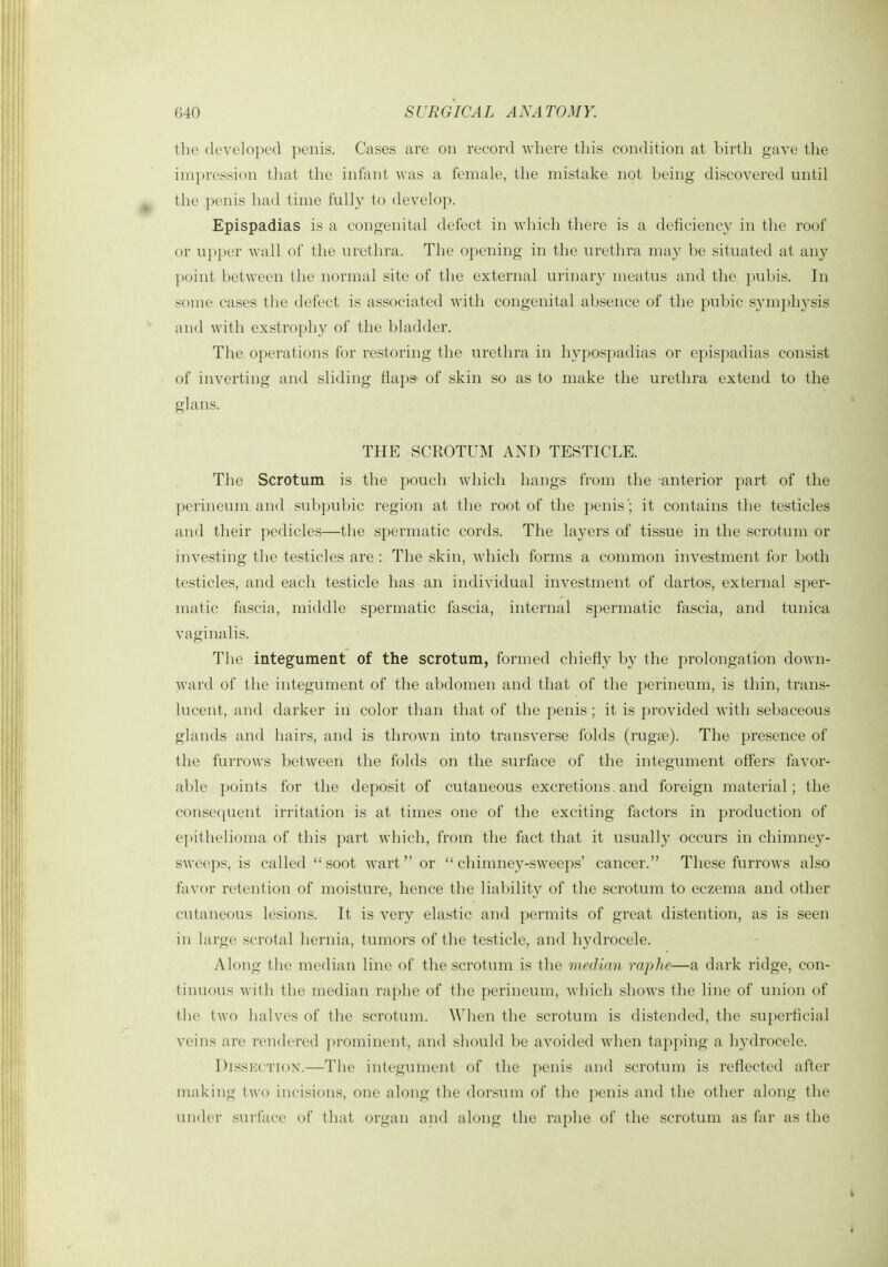 the developed penis. Cases are on record where this condition at birth gave tlie impression that the infant was a female, the mistake not being discovered until ^ the penis had time fully to develop. Epispadias is a congenital defect in which there is a deficiency in the roof or upper wall of the ui'ethra. The opening in the urethra may be situated at any point between the normal site of the external urinary meatus and the pubis. In some cases the defect is associated with congenital absence of the pubic symphysis and with exstrophy of the bladder. The operations for restoring the urethra in hypospadias or epispadias consist of inverting and sliding flaps of skin so as to make the urethra extend to the glans. THE SCROTUM AND TESTICLE. The Scrotum is the pouch which hangs from the anterior part of the perineum and sul^pubic region at the root of the penis ; it contains the testicles and their pedicles—the spermatic cords. The layers of tissue in the scrotum or investing the testicles are : The skin, which forms a common investment for both testicles, and each testicle has an individual investment of dartos, external sper- matic fascia, middle spermatic fascia, internal spermatic fascia, and tunica vaginalis. The integument of the scrotum, formed chiefly by the prolongation down- ward of the integument of the abdomen and that of the perineum, is thin, trans- lucent, and darker in color than that of the penis; it is provided with sebaceous glands and hairs, and is thrown into transverse folds (ruga;). The presence of the furrows between the folds on the surface of the integument off'ers favor- able i)oints for the deposit of cutaneous excretions and foreign material; the conse(iuent irritation is at times one of the exciting factors in production of epithelioma of tliis part which, from the fact that it usually occurs in chimney- sweeps, is called  soot wart or chimney-sweeps' cancer. These furrows also favor retention of moisture, hence the liabilit}^ of the scrotum to eczema and other cutaneous lesions. It is very elastic and permits of great distention, as is seen in large scrotal hernia, tumors of the testicle, and hydrocele. Along the median line of the scrotum is the median raphe—a dark ridge, con- tinuous with the median raphe of the perineum, which shows the line of union of the two halves of the scrotum. When the scrotum is distended, the superficial veins are rendered prominent, and should be avoided when tapping a hydrocele. Dissection.—The integument of the penis and scrotum is reflected after making two incisions, one along the dorsum of the penis and the other along the under surface of that organ and along the raphe of the scrotum as far as the t 1