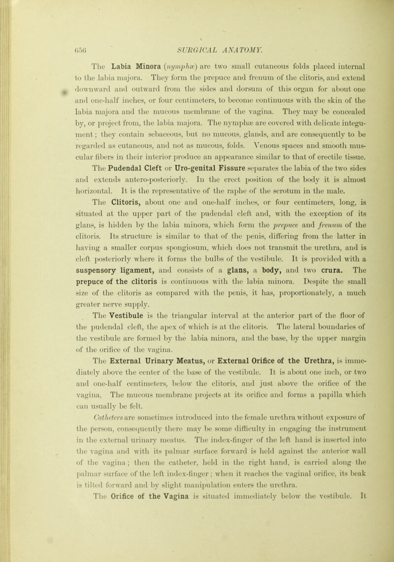 The Labia Minora {nijmphcr) are two small cutaneous folds placed internal to the labia niajora. They form the prepuce and frenum of the clitoris, and extend downward and outward from the sides and dorsum of this organ for about one and one-half inches, or four centimeters, to become continuous with the skin of the labia majora and the mucous membrane of the vagina. They may be concealed by, or project from, the labia majora. The nymphte are covered with delicate integu- ment ; they contain sebaceous, but no mucous, glands, and are consequently to be regarded as cutaneous, and not as mucous, folds. Venous spaces and smooth mus- cular fibers in their interior produce an appearance similar to that of erectile tissue. The Pudendal Cleft or Uro-genital Fissure separates the labia of the two sides and extends antero-posteriorly. In the erect position of the body it is almost horizontal. It is the representative of the raphe of the scrotum in the male. The Clitoris, about one and one-half inches, or four centimeters, long, is situated at the upper part of the pudendal cleft and, with the exception of its glans, is hidden by the labia minora, which form the prepuce and frenum of the clitoris. Its structure is similar to that of the penis, differing from the latter in having a smaller corpus spongiosum, wdiich does not transmit the urethra, and is cleft posteriorly Avhere it forms the bulbs of the vestibule. It is provided with a suspensory ligament, and consists of a glans, a body, and two crura. The prepuce of the clitoris is continuous with the lal)ia minora. Despite the small size of the clitoris as compared with the j^enis, it has, proportionately, a much greater nerve supply. The Vestibule is the triangular interval at the anterior part of the floor of the pudendal cleft, the apex of which is at the clitoris. The lateral boundaries of the vestibule are formed by the labia minora, and the base, by the upper margin of the orifice of the vagina. The External Urinary Meatus, or External Orifice of the Urethra, is imme- diately above the center of the base of the vestibule. It is about one inch, or two and one-half centimeters, below the clitoris, and just above the orifice of the vagina. The mucous mcml)rane projects at its orifice and forms a papilla which can usually be felt. Catheters axQ sometimes introduced into tlie female urethra without exi)0sure of the person, consecjuently there may ])e some difficulty in engaging the instrument in the external urinary meatus. The index-finger of the left hand is inserted into the vagina and with its palmar surface forward is held against the anterior wall of the vagina ; then the catheter, held in the right hand, is carried along the palmar surface of the left index-finger; when it reaches the vaginal orifice, its beak is tilted forward and by slight manipulation enters the urethra. The Orifice of the Vagina is situated innnediately below tlie vestibule. It
