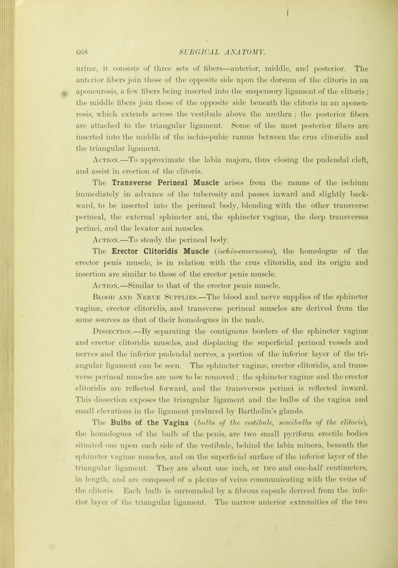 1 668 SURGICAL ANATOMY. urina?, it consists of three sets of fibers—anterior, middle, and })osterior. The anterior fibers join those of the opposite side upon the dorsum of the clitoris in an ^ aponeurosis, a few fibers being inserted into the suspensory ligament of the clitoris ; the middle fil)ers join those of the opposite side beneath the clitoris in an a})oneu- rosis, which extends across the vestibule above the urethra ; the posterior fibers are attached to the triangular ligament. Some of the most posterior fibers are inserted into the middle of the ischio-pubic ramus between the crus clitoridis and the triangular ligament. Action.—To approximate the labia niajora, thus closing the pudendal cleft, and assist in erection of the clitoris. The Transverse Perineal Muscle arises from the ramus of the ischium immediatel}^ in advance of the tuberosity and passes inward and slightly back- ward, to be inserted into the perineal body, blending with the other transverse perineal, the external sphincter ani, the sphincter yaginjB, the deep transversus perinei, and the levator ani mu.scles. Action.—To steady the perineal body. The Erector Clitoridis Muscle (isHrio-cavernosus), the homologue of the erector penis muscle, is in relation with the crus clitoridis, and its origin and insertion are similar to those of the erector penis muscle. Action,—Similar to that of the erector penis muscle. Blood and Nerve Supplies.—The blood and nerve supplies of the sphincter vaginae, erector clitoridis, and transverse perineal muscles are derived from the same sources as that of their homologues in the male. Dissection.—By separating the contiguous borders of the sphincter vaginse . and erector clitoridis muscles, and displacing the superficial i')erineal vessels and nerves and the inferior pudendal nerves, a portion of the inferior layer of the tri- angular ligament can be seen. The 8])liincter vaginae, erector clitoridis, and trans- verse jK'rineal muscles are now to V)e removed ; the sphincter vagin;c and the erector clitoridis are refiected forward, and the transversus jjcrinei is reflected inward. This dissection exposes the triangnlar ligament and the bulbs of the vagina and small elevations in the ligament produced by Bartholin's glands. The Bulbs of the Vagina {l)iiI/>>< of the vcMibvlc, sewibvlh:^ of the clitoris), tlie homologues of the l)nll) of the ]K'nis, are two small pyrifonn erectile bodies situated one upon each side of the vestibule, beliind the lal)in minora, Ix'iieath the sphincter vagina' muscles, anil on tlie superficial surface of the inferior la^'cr of the triangular ligament. They are about one inch, or two and one-half centimeters, in length, and are compo.sed of a plexus of veins communicating with the veins of the clitoris. Each bulb is surrounded by a fibrous ca])sule derived from the infe- rior layer of the triangular ligament. The narrow anterior extremities of the two