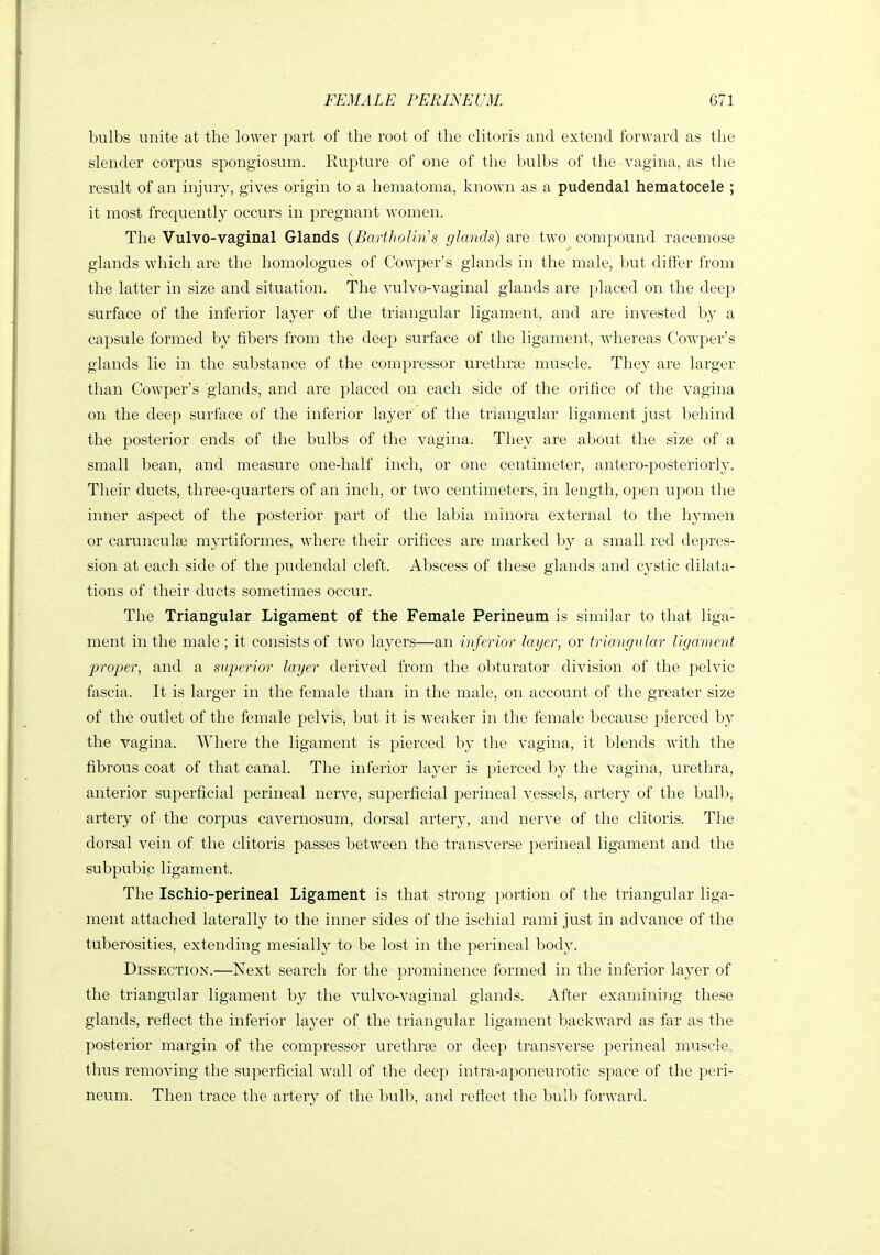 bulbs unite at the lower part of the root of the clitoris and extend forward as the slender corpus spongiosum. Rupture of one of the bulbs of the vagina, as the result of an injury, gives origin to a hematoma, known as a pudendal hematocele ; it most frequently occurs in pregnant women. The Vulvo-vaginal Glands {Bartholin's glands) are two compound racemose glands which are the homologues of Cowper's glands in the male, ljut differ from the latter in size and situation. The vulvo-vaginal glands are placed on the deep surface of the inferior layer of the triangular ligament, and are invested by a capsule formed by fibers from the deep surface of the ligament, Avhereas Cowper's glands lie in the substance of the compressor urethree muscle. They are larger than Cowper's glands, and are placed on each side of the orifice of the vagina on the deep surface of the inferior layer of the triangular ligament just behind the posterior ends of the bulbs of the vagina. They are about the size of a small bean, and measure one-half inch, or one centimeter, antero-j)osteriorly. Their ducts, three-quarters of an inch, or two centimeters, in length, open upon the inner aspect of the posterior part of the labia minora external to the hymen or carunculse myiiiformes, where their orifices are marked by a small red depres- sion at each side of the pudendal cleft. Abscess of these glands and cystic dilata- tions of their ducts sometimes occur. The Triangular Ligament of the Female Perineum is similar to that liga- ment in the male ; it consists of two layers—an inferior layer, or triangular ligament l^roper, and a superior layer derived from the ol)turator division of the pelvic fascia. It is larger in the female than in the male, on account of the greater size of the outlet of the female pelvis, but it is weaker in the female because pierced by the vagina. AVhere the ligament is pierced by the vagina, it blends with the fibrous coat of that canal. The inferior layer is pierced by the vagina, urethra, anterior superficial perineal nerve, superficial perineal vessels, artery of the bulb, artery of the corpus cavernosum, dorsal artery, and nerve of the clitoris. The dorsal vein of the clitoris passes between the transverse perineal ligament and the subpubic ligament. The Ischio-perineal Ligament is that strong portion of the triangular liga- ment attached laterally to the inner sides of the ischial rami just in advance of the tuberosities, extending mesially to be lost in the perineal body. Dissection.—Next search for the prominence formed in the inferior layer of the triangular ligament by the vulvo-vaginal glands. After examining these glands, reflect the inferior layer of the triangular ligament backward as far as the posterior margin of the compressor urethrse or deep transverse perineal muscle thus removing the superficial wall of the deep intra-aponeurotic space of the peri- neum. Then trace the artery of the bulb, and reflect the bulb forward.