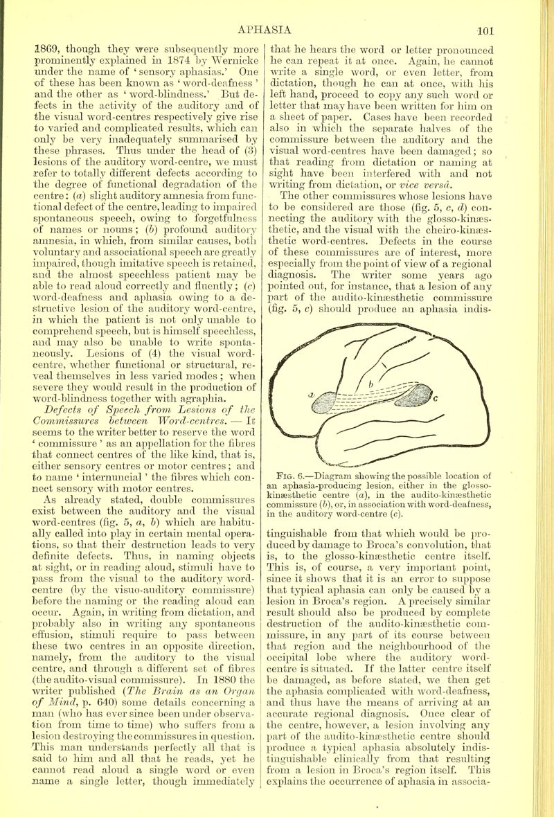 18G9, though they were subsequently more prominently explained in 1874 by Wernicke under the name of ' sensory aphasias.' One of these has been known as ' word-deafness ' and the other as ' word-blindness.' But de- fects in the activity of the auditory and of the visual word-centres respectively give rise to varied and complicated results, which can only be very inadequately summarised by these phrases. Thus under the head of (3) lesions of the auditory word-centre, we must refer to totally different defects according to the degree of functional degradation of the centre: («-) slight auditory amnesia from func- tional defect of the centre, leading to impaired spontaneous speech, owing to forgetfulness of names or nouns; (b) profound auditory amnesia, in which, from similar causes, both voluntary and associational speech are greatly impaired, though imitative speech is retained, and the almost speechless patient may be able to read aloud correctly and fluently ; (c) word-deafness and aphasia owing to a de- structive lesion of the auditory word-centre, in which the patient is not only unable to comprehend speech, but is himself speechless, and may also be unable to write sponta- neously. Lesions of (4) the visual word- centre, whether functional or structural, re- veal themselves in less varied modes ; when severe they would result in the production of word-blindness together with agraphia. Defects of Speech from Lesions of the Commissures between Word-centres. — It seems to the writer better to reserve the word 1 commissure ' as an appellation for the fibres that connect centres of the like kind, that is, either sensory centres or motor centres ; and to name ' internuncial' the fibres which con- nect sensory with motor centres. As already stated, double commissures exist between the auditory and the visual word-centres (fig. 5, a, b) which are habitu- ally called into play in certain mental opera- tions, so that their destruction leads to very definite defects. Thus, in naming objects at sight, or in reading aloud, stimuli have to pass from the visual to the auditory word- centre (by the visuo-auditory commissiire) before the naming or the reading aloud can occur. Again, in writing from dictation, and probably also in writing any spontaneous effusion, stimuli require to pass between these two centres in an opposite direction, namely, from the auditory to the visual centre, and through a different set of fibres (the audito-visual commissure). In 1880 the writer published (The Brain as an Organ of Mind, p. 640) some details concerning a man (who has ever since been under observa- tion from time to time) who suffers from a lesion destroying the commissures in question. This man understands perfectly aU that is said to him and all that he reads, yet he cannot read aloud a single word or even name a single letter, though immediately that he hears the word or letter pronounced he can repeat it at once. Again, he cannot write a single word, or even letter, from dictation, though he can at once, with his left hand, proceed to copy any such word or letter that may have been written for him on a sheet of paper. Cases have been recorded also in which the separate halves of the commissure between the auditory and the visual word-centres have been damaged; so that reading from dictation or naming at sight have been interfered with and not writing from dictation, or vice versa. The other commissures whose lesions have to be considered are those (fig. 5, c, d) con- necting the auditory with the glosso-kinaes- thetic, and the visual with the cheiro-kinses- thetic word-centres. Defects in the course of these commissures are of interest, more especially from the point of view of a regional diagnosis. The writer some years ago pointed out, for instance, that a lesion of any part of the audito-kinaesthetic commissure (fig. 5, c) should produce an aphasia indis- FiG. 6.—Diagram showing tlie possible location of an aphasia-producing lesion, either in the glosso- kinsesthetic centre (a), in the audito-kinajsthetie commissure (6), or, in association with word-deafness, in the auditory word-centre (c). tmguishable from that which would be pro- duced by damage to Broca's convolution, that is, to the glosso-kinsesthetic centre itself. This is, of course, a very important point, since it shows that it is an error to suppose that typical aphasia can only be caused by a lesion in Broca's region. A precisely similar result should also be produced by complete destruction of the audito-kinaesthetic com- missure, in any part of its course between that region and the neighbourhood of the occipital lobe where the auditory word- centre is situated. If the latter centre itself be damaged, as before stated, we then get the aphasia complicated with word-deafness, and thus have the means of arriving at an accurate regional diagnosis. Once clear of the centre, however, a lesion involving any part of the audito-kinaesthetic centre should produce a typical aphasia absolutely indis- tinguishable clinically from that resulting from a lesion in Broca's region itself. This explains the occurrence of aphasia in associa-