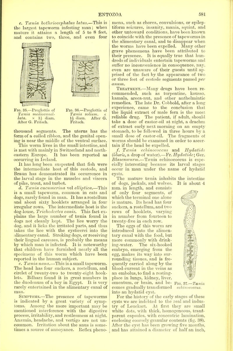 c. Tarda bothriocephalus latus.—This is the largest tapeworm infesting man; when mature it attains a length of 5 to 8 feet, and contains two, three, and even four liiiiiiiiiiiiiiiiiiiifir Fig. 35.—Proglottis of Tcenia mediocanel- lata. x lh diam. After G. Fritsch. Fig. 36.—Proglottis of Tcenia solium. x 1J diam. After G. Fritsch. thousand segments. The uterus has the form of a coiled ribbon, and the genital open- ing is near the middle of the ventral surface. This worm lives in the small intestine, and is met with mainly in Switzerland and north- eastern Europe. It has been reported as occurring in Ireland. It has long been suspected that fish were the intermediate host of this cestode, and Braun has demonstrated its occurrence in the larval stage in the muscles and viscera of pike, trout, and turbot. d. Tcenia cucumerina vel elliptica.—This is a small tapeworm, common in cats and dogs, rarely found in man. It has a rostellum and about sixty hooklets arranged in four irregular rows. The intermediate host is the dog-louse, Trichodectes canis. This fact ex- plains the large number of taenia found in dogs not cleanly kept. The lice worry the dog, and it licks the irritated parts, and thus takes the lice with the cysticerci into the alimentary canal. Stroking dogs, or receiving their lingual caresses, is probably the means by which man is infected. It is noteworthy that children have furnished nearly all the specimens of this worm which have been reported in the human subject. e. Tcenia nana.—This is a small tapeworm. The head has four suckers, a rostellum, and circlet of twenty-two to twenty-eight hook- lets. Bilharz found it in great numbers in the duodenum of a boy in Egypt. It is very rarely entertained in the alimentary canal of man. Symptoms.—The presence of tapeworms is indicated by a great variety of symp- toms. Among the more important may be mentioned interference with the digestive process, irritability, and restlessness at night. Anaemia, headache, and vertigo are not un- common. Irritation about the anus is some- times a source of annoyance. Keflex pheno- mena, such as chorea, convulsions, or epilep- tiform seizures, insanity, mania, squint, and other untoward conditions, have been known to coincide with the presence of tapeworms in the alimentary canal, and to disappear when the worms have been expelled. Many other grave phenomena have been attributed to their presence. It is equally true that hun- dreds of individuals entertain tapeworms and suffer no inconvenience in consequence, nay, even are unaware of their guests until ap- prised of the fact by the appearance of two or three feet of cestode segments passed per anum. Treatment.—Many drugs have been re- commended, such as turpentine, kousso. kamala, areca-nut, and other anthelmintic remedies. The late Dr. Cobbold, after a long experience, came to the conclusion that the liquid extract of male fern is the most reliable drug. The patient, if adult, should take a dose of castor-oil at night, a drachm of extract early next morning on an empty stomach, to be followed in three hours by a small dose of castor-oil. The fragments of worms should be examined in order to ascer- tain if the head be expelled. f. Tcenia echinococcus and Hydatids (vharls, a drop of water).—Fr. Hydatide; Ger. Blasenwurm.—Taenia echinococcus is espe- cially interesting because its larval stages occur in man under the name of hydatid cysts. The mature taenia inhabits the intestine of dogs, jackals, and wolves. It is about 4 mm. in length, and consists of only four segments, of which the terminal one alone is mature. Its head has four suckers, a rostellum, and two rows of hooklets, varying in number from fourteen to twenty-five in each row. The eggs of this worm are introduced into the alimen- tary canal with the food, but more commonly with drink- ing-water. The six-hooked embryo, emerging from the egg, makes its way into sur- rounding tissues, and is fre- quently carried along by the blood-current in the veins as an embolus, to find a resting- place in lungs, kidney, liver, omentum, or brain, and be- comes gradually transformed into an hydatid cyst. For the history of the early stages of these cysts we are indebted to the zeal and indus- try of Leuckart. At first they are small white dots, with thick, homogeneous, trans- parent capsules, with concentric lamination, enclosing coarsely granular contents (fig. 38). After the cyst has been growing five months, and has attained a diameter of half an inch, Fig. 37.—Tarda echinococcus.