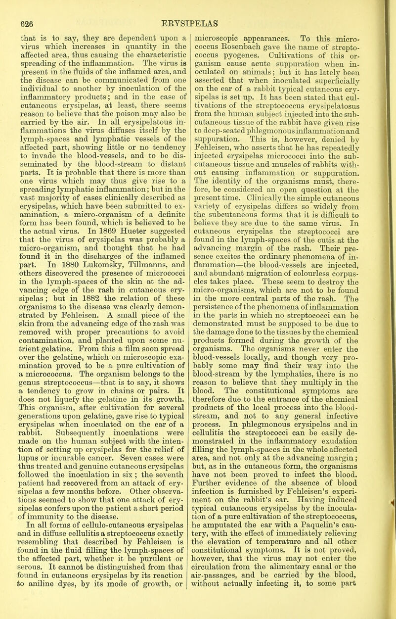 that is to say, they are dependent upon a virus which increases in quantity in the affected area, thus causing the characteristic spreading of the inflammation. The virus is present in the fluids of the inflamed area, and the disease can be communicated from one individual to another by inoculation of the inflammatory products; and in the case of cutaneous erysipelas, at least, there seems reason to believe that the poison may also be carried by the air. In all erysipelatous in- flammations the virus diffuses itself by the lymph-spaces and lymphatic vessels of the affected part, showing little or no tendency to invade the blood-vessels, and to be dis- seminated by the blood-stream to distant parts. It is probable that there is more than one virus which may thus give rise to a spreading lymphatic inflammation; but in the vast majority of cases clinically described as erysipelas, which have been submitted to ex- amination, a micro-organism of a definite form has been found, which is believed to be the actual virus. In 1869 Hueter suggested that the virus of erysipelas was probably a micro-organism, and thought that he had found it in the discharges of the inflamed part. In 1880 Lukomsky, Tillmanns, and others discovered the presence of micrococci in the lymph-spaces of the skin at the ad- vancing edge of the rash in cutaneous ery- sipelas ; but in 1882 the relation of these organisms to the disease was clearly demon- strated by Fehleisen. A small piece of the skin from the advancing edge of the rash was removed with proper precautions to avoid contamination, and planted upon some nu- trient gelatine. From this a film soon spread over the gelatine, which on microscopic exa- mination proved to be a pure cultivation of a micrococcus. The organism belongs to the genus streptococcus—that is to say, it shows a tendency to grow in chains or pairs. It does not liquefy the gelatine in its growth. This organism, after cultivation for several generations upon gelatine, gave rise to typical erysipelas when inoculated on the ear of a rabbit. Subsequently inoculations were made on the human subject with the inten- tion of setting up erysipelas for the relief of lupus or incurable cancer. Seven cases were thus treated and genuine cutaneous erysipelas followed the inoculation in six ; the seventh patient had recovered from an attack of ery- sipelas a few months before. Other observa- tions seemed to show that one attack of ery- sipelas confers upon the patient a short period of immunity to the disease. In all forms of cellulo-cutaneous erysipelas and in diffuse cellulitis a streptococcus exactly resembling that described by Fehleisen is found in the fluid filhng the lymph-spaces of the affected part, whether it be purulent or serous. It cannot be distinguished from that found in cutaneous erysipelas by its reaction 4o aniline dyes, by its mode of growth, or microscopic appearances. To this micro- coccus Kosenbach gave the name of strepto- coccus pyogenes. Cultivations of this or- ganism cause acute suppuration when in- oculated on animals; but it has lately been asserted that when inoctdated superficially on the ear of a rabbit typical cutaneous ery- sipelas is set up. It has been stated that cul- tivations of the streptococcus erysipelatosus from the human subject injected into the sub- cutaneous tissue of the rabbit have given rise to deep-seated phlegmonous inflammation and suppuration. This is, however, denied by Fehleisen, who asserts that he has repeatedly injected erysipelas micrococci into the sub- cutaneous tissue and muscles of rabbits with- out causing inflammation or suppuration. The identity of the organisms must, there- fore, be considered an open question at the present time. Clinically the simple cutaneous variety of erysipelas differs so widely from the subcutaneous forms that it is difficult to believe they are due to the same virus. In cutaneous erysipelas the streptococci are found in the lymph-spaces of the cutis at the advancing margin of the rash. Their pre- sence excites the ordinary phenomena of in- flammation—the blood-vessels are injected, and abundant migration of colourless corpus- cles takes place. These seem to destroy the micro-organisms, which are not to be found in the more central parts of the rash. The persistence of the phenomena of inflammation in the parts in which no streptococci can be demonstrated must be supposed to be due to the damage done to the tissues by the chemical products formed during the growth of the organisms. The organisms never enter the blood-vessels locally, and though very pro- bably some may find their way into the blood-stream by the lymphatics, there is no reason to believe that they multiply in the blood. The constitutional symptoms are therefore due to the entrance of the chemical products of the local process into the blood- stream, and not to any general infective process. In phlegmonous erysipelas and in cellulitis the streptococci can be easily de- monstrated in the inflammatory exudation filling the lymph-spaces in the whole affected area, and not only at the advancing margin; but, as in the cutaneous form, the organisms have not been proved to infect the blood. Further evidence of the absence of blood infection is furnished by Fehleisen's experi- ment on the rabbit's ear. Having induced typical cutaneous erysipelas by the inocula- tion of a pure cultivation of the streptococcus, he amputated the ear with a Paquelin's cau- tery, with the effect of immediately relieving the elevation of temperature and all other constitutional symptoms. It is not proved, however, that the virus may not enter the circulation from the alimentary canal or the air-passages, and be carried by the blood, without actually infecting it, to some part