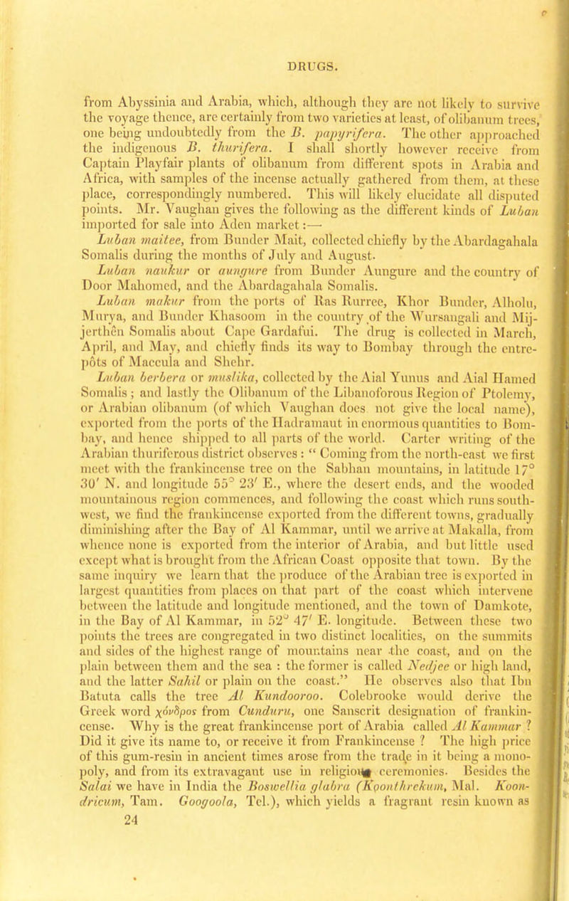 p DRUGS. from Abyssinia and Arabia, which, altbongb they are not likely to survive the voyage thence, are certainly from two varieties at least, of olibanum I rees, one being undoubtedly from the B. papyri/era. The other approached the indigenous B. thurifera. I shall shortly however receive from Captain Playfair plants of olibanum from different spots in Arabia and Africa, with samples of the incense actually gathered from them, at these place, correspondingly numbered. This will likely elucidate all disputed points. Mr. Vaughan gives the following as the different kinds of Luban imported for sale into Aden market:— Lulian maitee, from Bunder Mait, collected chiefly by the Abardagahala Somalis during the months of July and August. Luban naukur or aungure from Bunder Aungure and the country of Door Mahomed, and the Almrdngahala Somalis. Luban mahir from the ports of lias Rurrce, Khor Bunder, Alhohi, Murya, and Bunder Khasoom in the country of the Wursangali and Mij- jerthen Somalis about Cape Gardafui. The drug is collected in March) April, and May, and chiefly finds its way to Bombay through the entre- pots of Maccula and Shehr. Luban berbera or muslika, collected by the Aial Yunus and Aial Hamed Somalis; and lastly the Olibanum of the Libanoforous Region of Ptolemy, or Arabian olibanum (of which Vaughan does not give the local name), exported from the ports of the Hadramauf in enormous quantities to Bom- bay, and bence shipped to all parts of the world. Carter writing of the Arabian thurifecous disl rict observes :  Coming from the north-east we first meet with the frankincense tree on the Sabhan mountains, in latitude 17° 30' N. and longitude 55° 23' E., where the desert ends, and the wooded mountainous region commences, and following the coast which runs south- west, we find the frankincense exported from the different towns, gradually diminishing after the Bay of Al Kammar, until we arrive at Makalla, from whence none is exported from i he interior of Arabia, and butltttle used excepl what is brought from the African Coast opposite Unit town. By the same inquiry we learn that the produce of the Arabian tree is exported hi largest quantities from places on that part of the coast which intervene between the latitude and longitude mentioned, and the town of Damkote, in the Bay of Al Kammar, in 52° 47' E. longitude. Between these two points the trees arc congregated in two distinct localities, on the summits and sides of the highest range of mountains near the coast, and on the plain between them and the sea : the former is called Nedjee or high land, and the latter Sahil or plain on the coast. He observes also that Ibn Batuta calls the tree Al Kundooroo. Colebrooke would derive the Greek word x°v^P0S from Cunduru, one Sanscrit designation of frankin- cense. Why is the great frankincense port of Arabia called Al Kammar ' Did it give its name to, or receive it from Frankincense ? The high price of this gum-resin in ancient times arose from the trade in il being a mono- poly, and from its extravagant use in religio^f ceremonies. Besides the J Salai we have in India the Boswel/ia glabra (Kponthrekum, Mai. Koon- I dricum, Tarn. Googoola, Tel.), which yields a fragrant resin known as