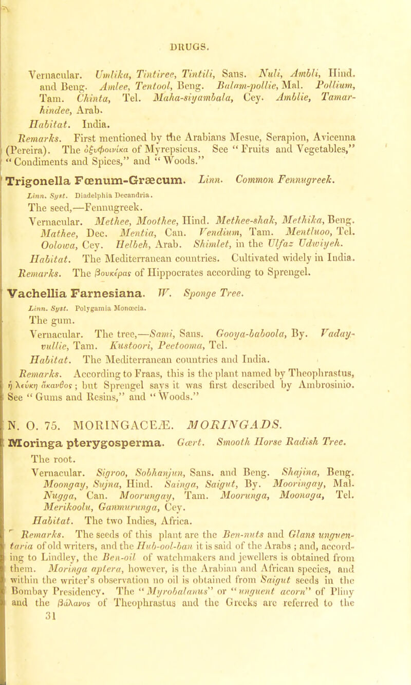 Vernacular. Umlika, Tintiree, Tintili, Sans. Nu!i, Ambli, Hind, and Bcug. Amlee, Tentool, Beng. Bulam-pollie, Mai. Pol I nun, Tam. Chinta, Tel. Maha-siyambala, Cey. Amblie, Tamar- hindee, Arab. Habitat. India. Remarks. First mentioned by the Arabians Mesue, Serapion, Avicenna (Pereira). The o^oiwn of Myrepsicus. See  Fruits and Vegetables,  Condiments and Spices, and  Woods. Trigonella Fcenum-Graecum. Linn. Common Fennugreek. Linn. Syxt. Diadelplua Decandria. The seed,—Fennugreck. Vernacular. Methee, Moothee, Hind. Methee-shak, Methika, Beng. Mathee, Dec. Mentia, Can. Vendium, Tam. Mentluoo, Tel. Oolowa, Cey. Ilelbeh, Arab. Shimlet, in the XJlfaz Udwiyeh. Habitat. The Mediterranean countries. Cultivated widely in India. Remarks. The Povicepas of Hippocrates according to Sprengel. Vachellia Farnesiana. W. Sponge Tree. Linn. Sytt. Poljgamia llonoecia. The gum. Vernacular. The tree,—Sami, Sans. Gooya-baboola, By. Vaday- vullic, Tam. Kustoori, Peetooma, Tel. Habitat. The Mediterranean countries and India. Re7»arks. According to Fraas, this is the plant named by Theopbrastus, {) \(v<rj aKavdot; but Sprengel says it was first described by Ambrosinio. See  Gums and Resins, and Woods. N. O. 75. MORINGACEiE. MORINGADS. Moringa pterygosperma. Gart. Smooth Horse Radish Tree. The root. Vernacular. Sigroo, Sobhanjun, Sans, and Beng. Shajina, Beng. Moongay, Sujna, Hind. Sainga, Saigut, By. Mooringay, Mai. Nugga, Can. Moorungay, Tam. Moorunga, Moonagu, Tel. Merikoolu, Ganmurunga, Cey. Habitat. The two Indies, Africa. Remarks. The seeds of this plant are the Ben-nuts and Glans ungven- ■ taria of old writers, and the Hub-ool-ban it is said of the Arabs ; and, accord- ing to Lindley, the Ben-oil of watchmakers and jewellers is obtained from them. Moringa aplera, however, is the Arabian and African species, and within the writer's observation no oil is obtained from Saigut seeds in the Bombay Presidency. The Myrobalanus or unguent acorn of Pliny and the (3d\avos of Theophrastus and the Greeks arc referred to the