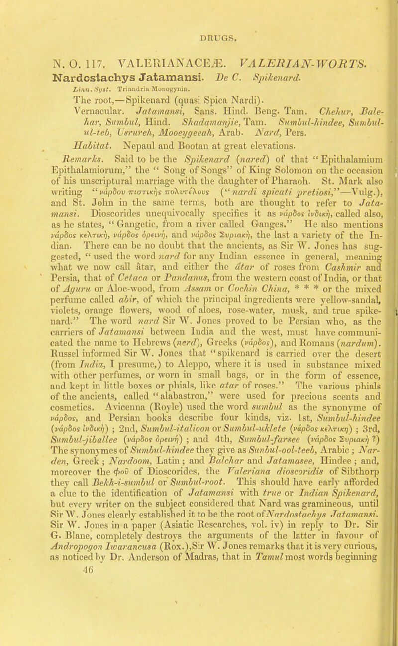 N. 0.117. VALEUIANACEJE. VALERIAN-WORTS. Nardostachys Jatamansi. Be C. Spikenard. Linn. Syst. Trinndria Monogyniu. The root,—Spikenard (quasi Spica Nardi). Vernacular. Jatamansi, Sans. Hind. Beng. Tam. Chehur, Bale- liar, Sumbul, Hind. Shadamanjie,Tam. Sumbul-hindee, Sttmbul- ul-teb, XJsrureh, Mooeygeeah, Arab. Nard, Pers. Habitat. Nepaul and Bootau at great elevations. Remarks. Said to be the Spikenard (nared) of that  Epitbalamium Epithalamiorum, the  Song of Songs of King Solomon on tbe occasion of his unscriptural marriage with the daughter of Pharaoh. St. Mark also writing  vdpbov mtrme^s ttoXvtc'Kovs (nardi spicati jn-etiosi,—Yulg.), and St. John in the same terms, both are thought to refer to Jata- mansi. Dioscorides unequivocally specifies it as vdpSos IvSiki), called also, as he states,  Gangetic, from a river called Ganges. He also mentions vapSos Ke\TiKi), vdpSos opcivrj, and vdpSos IvpiaKrj, the last a variety of the In- dian. There can be no doubt that the ancients, as Sir W. Jones has sug- gested,  used the word nard for any Indian essence in general, meaning what we now call atar, and either the atar of roses from Cash mir and Persia, that of Cetaca or Pandanns, from the western coast of India, or that of Aguru or Aloe-wood, from Assam or Cochin China, * * * or the mixed perfume called abir, of which the principal ingredients were yellow-sandal, violets, orange flowers, wood of aloes, rose-water, musk, and true spike- nard. The word nard Sir W. Jones proved to be Persian who, as the carriers of Jatamansi between India and the west, must have communi- cated the name to Hebrews (nerd), Greeks (vdpbos), and Romans (nardum). Russel informed Sir W. Jones that spikenard is carried over the desert (from India, I presume,) to Aleppo, where it is used in substance mixed with other perfumes, or worn in small hags, or in the form of essence, and kept in little boxes or phials, like atar of roses. The various phials of the ancients, called  alabastron, were used for precious scents and cosmetics, Avicenna (Royle) used the word sumbul as the synonyme of papSos, and Persian books describe four kinds, viz. 1st, Sumbul-hindee (vap&os Ivbuc}]) ; 2nd, Sumbul-italioon or Sumbul-uklele (vdpSos kcXtiki)) ; 3rd, Sumbul-jiballee (vapSos opeiiWj) ; and 4th, Sumbul-fursee (vdpSos 2vp«iKj} ?) The synonymes of Sumbul-hindee they give as Sunbul-ool-teeb, Arabic ; Nar- den, Greek ; Nardoom, Latin ; and Balchar and Jatamasee, Hindee ; and, moreover the <f>ov of Dioscorides, the Valeriana dioscoridis of Sibthorp they call Bekh-i-sumbul or Sumbid-root. This should have early afforded a clue to the identification of Jatamansi with true or Indian Spikenard, but every writer on the subject considered that Nard was gramineous, until Sir W. Jones clearly established it to be the root of Nardostachys Jatamansi. Sir W. Jones in a paper (Asiatic Researches, vol. iv) in reply to Dr. Sir G. Blane, completely destroys the arguments of the latter in favour of Andropogon Iwarancusa (Rox.),Sir W. Jones remarks that it is very curious, as noticed by Dr. Anderson of Madras, that in Tamul most words beginning 4G