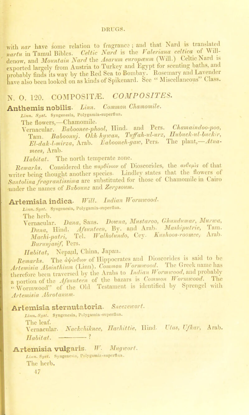 with nar have some relation to fragrance ; and that Nard is translated lartu in Tamul Bibles. Celtic Nard is the Valeriana celtica of Will- denow, and Mountain Nard the Asarum europasum (Will.) Celtic Nard is exported largely from Austria to Turkey and Egypt for scenting baths, and probably finds its way by the Red Sea to Bombay. Rosemary and Lavender have also been looked on as kinds of Spikenard. Sec  Miscellaneous Class. N. O. 120. COMPOSITE. COMPOSITES. Anthemis nobilis- Linn. Common Chamomile. Linn. Si/st. Syngenesia, Polygamia-superflun. The flowers,—Chamomile. Vernacular. Baboonee-phool, Hind, and Pcrs. Chamaindoo-poo, Tarn. Baboonuj. Okhhywan, Tufah-ul-urz, Hubuck-wl-buckir, El-dak-l.-mirea, Arab. Labooneh-gaw, Pers. The plant,—Atna- mees, Arab. Habitat. The north temperate zone. Remarks. Considered the wapBiviov of Dioscorides, the av&efus of thai writer being thought another species- Lindley states that the flowers of Santolina fragrantissima are substituted for those of Chamomile in Cairo •under the names of Bubounz and Zergsoum. Artemisia indica Will. Indian Wormwood. Linn. Sijst. Syngenesia, Polygamia-supeiflua. The herb. „ , Vernacular. Dana, Sans. Downa, Mustaroo, Gfmndumar, Murwa, Buna, Hind. Afsunteen, By. and Arab. Mashiputrie, Tain. Machi-patri, Tel. Walkolundo, Cey. Kushoos-roomee, Arab. Buritnjasif, Pcrs. Habitat, Nepaul, China, Japan. Remarks. The tyivBiov of Hippocrates and Dioscorides is said to be Artemisia ibainthium (Linn). Common Wormwood. The Greek name has therefore been traversed by the Arabs to Indian II brmwood, and probably a portion of the Afsunteen of the bazars is Common Wormwood. The Wormwood of the Old Testament is identified by Sprengcl with Artemisia Abrotanum- Artemisia sternutatoria. Sueeceworf. Llnn.Syst. Syngencsia, Polygamia-mperflua. The leaf. Vernacular- Nackchihnee, ITaduttie, Hind. Viae, Ufkar, Arab. Habitat. ? Artemisia vulgaris. W. Mugwort. Linn. fSyit. Syngenosia, P(>lyganiia-»upcrflua. The herb.