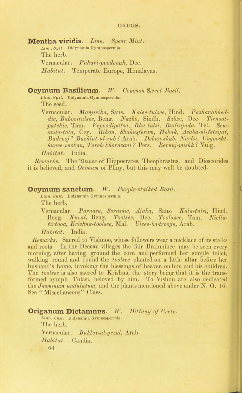Mentha viridis. Linn. Spear 31m/. Linn. Syst. Didynamia QymnoBpermia. The herb. Vernacular. Pahari-poodenah, Dec. Habitat. Temperate Europe, Himalayas. Ocymum BasilicUm. W. Common Sweet Basil. Linn. Sytt. Didynamia Gymnospermia. The seed. Vernacular. Manjiriha, Sans. Kalee-tuhee, Hind. Pashana/j/icd- die, Babooituhee, Beng. Nazbo, Sindh. Subze, Dec- Tirnoot- patchie, Tarn. Fepoodipatsa, Rhu-talsi, Rudrajada, Tel. Sew- anda-tala, Cey. Rihan, Shahusfcrum, Hcbak, Asaba-ul-feteijat, Badrooj 1 Bucktut-ul-zub 1 Arab. Deban-shab, Naebu, Ungoosht- kunee-zuckan, Tureh-Ichorasani ? Pers- Berunj-mishkl Vulg. Habitat. India- Remarks. The Qkihov of Hippocrates, Theophrastus, and Dioscorides it is believed, and Ocimum of Pliny, but this may well be doubted. Ocymum sanctum. W. Purple-stalked Basil. Linn. Sytt. Didynamia Oymnospcrmia. The herb. Vernacular. Parnasa, Sorasaw, Ajaka, Sans. Kala-tulsi, Hind. Beng. Rural, Beng. Too/see, Dec. Toolasee, Tam. Niella- tirtooa, Krishna-toolsee, Mai. U/see-badrooge, Arab. Habitat. India. Remarks. Sacred to Vishnoo, whose followers wear a necklace of its stalks anil roots. In the Deecan villages the fair Brahminee may be seen every morning, after having ground the corn and performed her simple toilet, walking round and round the toolsee planted on a little altar before her husband's home, invoking the blessings of heaven on him and his children. The toolsee is also sacred to Krishna, the story being that it is the trans- formed nymph Tulasi, beloved by him. To Vishnu are also dedicated the Jasminum undulatum, and the plants mentioned above under N. O. 16. See  Miscellaneous Class. Origanum Dictamnus. W. Dittany of Crete- Linn. Sytt. Didynnmin Gymnot-penniu. The herb. Vernacular. Buklut-ul-gezal, Arab- Habitat. Candia.
