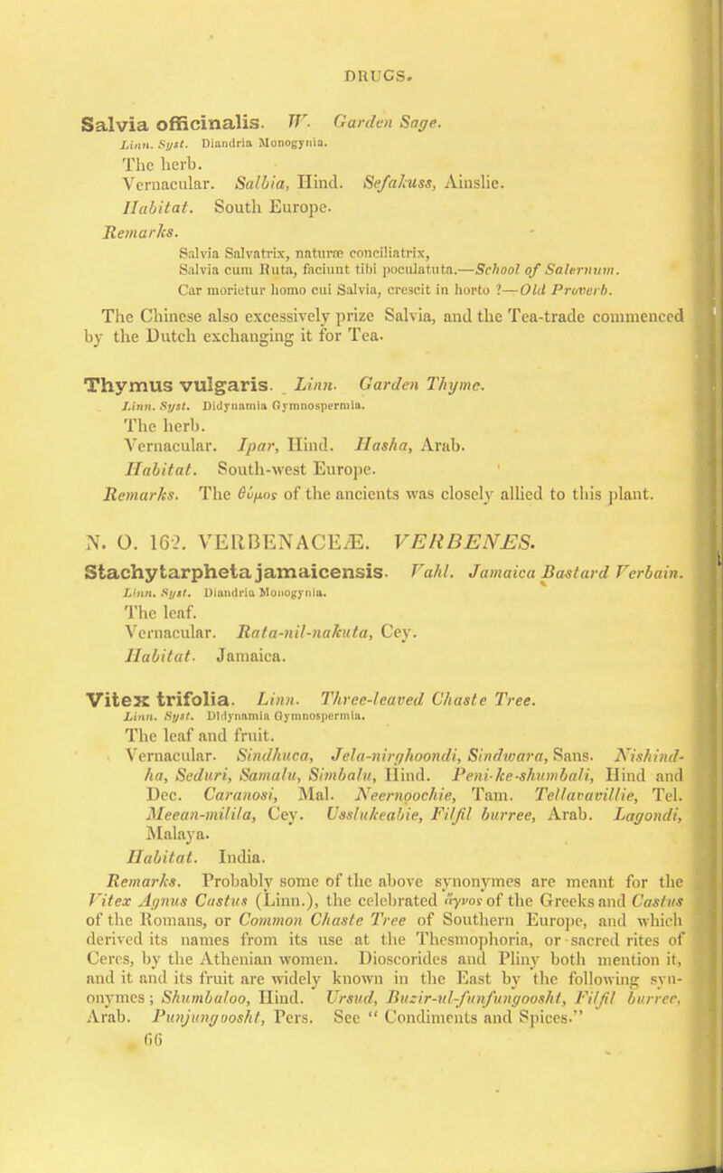 Dnucs. Salvia officinalis. iV. Garden Sage. Linn. Syst. Diaiulria Monogjrnia. The herb. Vernacular. Salbia, Hind. Se/akuss, Ainslie. Habitat. South Europe. Remarks. Salvia Salvatrix, naturae conciliatrix, Salvia cum Hnta, faciunt tilti poculattita.—School of Salernum. Car mOrietur liomo cui Salvia, cre3cit in horto ?—Old Proverb. The Chinese also excessively prize Salvia, and the Tea-trade commenced by the Dutch exchanging it for Tea. Thymus vulgaris. Linn. Garden Thyme. Linn. Syst. Didynamia Ormnosperntia. The herb. Vernacular. Ipar, Hind. Hasha, Arab. Habitat. South-west Europe. Remarks. The BCfios of the ancients was closely allied to this plant. N. O. 162. VERBENACE/E. VERDENES. Stachytarpheta jamaicensis. VaM. Jamaica Dastard Verbain. Linn. Syst. Diandriu Monogynla. The leaf. Vernacular. Rata-nil-nakuta, Cey. Habitat- Jamaica. Vitex trifolia. Linn. Three-leaved Chaste Tree. Linn. Syst. Didynamia Gymnospermla. The leaf and fruit. Vernacular. Sindhttca, Jela-nirghoondi, Sindwara, Sans. Nishind- ha, Seduri, Samalu, Sim'balu, Hind. Peni-ke-shumbali, Hind and Dec. Caranosi, Mai. Neernqochie, Tarn. Tellavavillie, Tel. Meean-mUila, Cey. Usstukeabie, Filfil burree, Arab. Lagondi, Malaya. Habitat. India. Remarks. Probably some of the above synonymes are meant for the Vitex Agnus Custus (Linn.), the celebrated nyvosof the Greeks and Castas of the Romans, or Common Chaste Tree of Southern Europe, and which derived its names from its use at the Thesmophoria, or sacred rites of Ceres, by the Athenian women. Dioscorides and Pliny both mention it, and it and its fruit are widely known in the East by the following svn- onymcs; Shumbuloo, Hind. Ursud, Ihtzir-ul-funfungooshi, Filfil burree, Arab. Punjitngtwsht, Pers. See  Condiments and Spices- (16