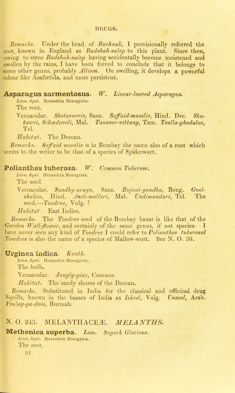 Remarks. Under the head of Buchnak, I provisionally referred the root, known in England as Badshahsalep to this plant. Since then, owing to some Badshahsalep having accidentally become moistened and swollen by the rains, I have been forced to conclude that it belongs to some other genus, probably Allium. On swelling, it develops a powerful odour like Asafcetida, and more persistent. Asparagus sarmentosus. W. Linear-leaved Asparagus. Linn. Si/st. Hcxandria Monogyniu. The root. Vernacular. Shetavurrie, Sans. Saffaid-mooslie, Hind. Dec. Sha- taicri, Schcedaveli, Mai. Tannecr-vittang, Tarn. Tsulla-ghedaloo, Tel. Habitat. The Deccan. Remarks. Suffaid mooslie is in Bombay the name also of a root which seems to the writer to be that of a species of Spiderwort. Polianthes tuberosa- W. Common Tuberose. Linn. Sijst. Hexandria Monogynia. The seed. Vernacular. Sandhy-araga, Sans. Rujuni-gundha, Beng. Gool- shaboo, Hind. Andi-malleri, Mai. Undimandari, Tel. The seed,—Toodree, Vulg. ? Habitat. East Indies. Remarks. The Toodree seed of the Bombay bazar is like that of the Garden Wall-flower, and certainly of the same genus, if not species. I have never seen any kind of Toodree I could refer to Polianthes tuberosal Towdree is also the name of a species of Mallow-wort. Sec N. O. 30. Urginea indica- Kwnth. Linn Syst. Hexandria Monogynia. The bulb. Vernacular. Jnngly-piaz, Concans. Habitat. The sandy shores of the Deccan. Remarks. Substituted in India for the classical and officinal drug Squills, known in the bazars of India as Iskeel, Vulg. Unsool, Arab. Venlay-pa-dein, Burmah. N. 0.243. MELANTHACEjE. MELA NTH S. Methonica superba. Lam. Superb Gloriosa. Linn. St/st. Hexandria Monogynia. The roo(. 01