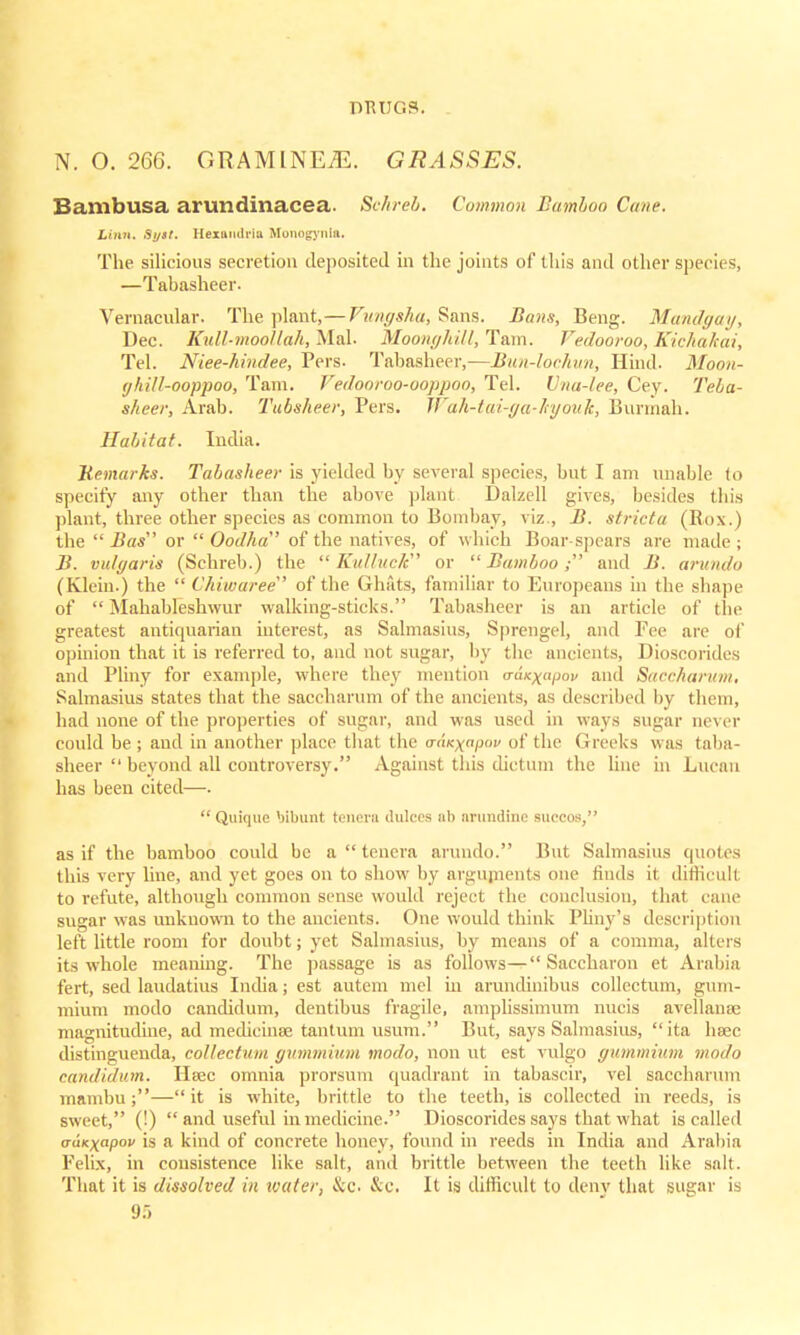 rmuc.s. N. O. 266. GRAMlNEiE. GRASSES. Bambusa arundinacea. Schreb, Common Bamboo Cane. Linn. Sysl. Hexumlriu Monogynta. The silicious secretion deposited in the joints of this and other species, —Tabasheer- Vernacular. The plant,—Vungshu, Sans. Bans, Beng. Mandgay, Dec. Kull-moollah, Mai. Moonghill, Tain. Vedooroo, Kichakai, Tel. Niee-hindee, Pers. Tabasheer,—Bun-lochun, Hind. Moon- t/hill-ooppoo, Tarn. Vedooroo-ooppoo, Tel. Vna-lee, Cey. Teba- sheer, Arab. Tubsheer, Pers. Wah-tai-ga-lsyouk, Burmah. Habitat. India. Remarks. Tabasheer is yielded by several species, but I am unable to specify any other than the above plant Dalzell gives, besides ibis plant, three other species as common to Bombay, viz., B. stricta (Rox.) the  Bas or  Ood/ia of the natives, of which Boar-spears are made; B. vulgaris (Schreb.) the  Kulluck or  Bamboo; and B. arundo (Klein.) the  Chiwaree' of the Ghats, familiar to Europeans in the shape of  Mahableshwur walking-sticks. Tabasheer is an article of the greatest antiquarian interest, as Salmasius, Sprengel, and Fee are of opinion that it is referred to, and not sugar, by the ancients, Dioscorides and Pliny for example, where they mention vaKxapov and Saccharum, Salmasius states that the saccharum of the ancients, as described by them, had none of the properties of sugar, and was used in ways sugar never could be ; and in another place thai the cranxapov of the Greeks w as taba- sheer  beyond all controversy. Against this dictum the line in Lucan has been cited—.  Quique blbunt tenera Juices ub uruudinc suecos, as if the bamboo could be a  tenera arundo. But Salmasius cpiotes this very line, and yet goes on to show by arguments one finds it difficult to refute, although common sense would reject the conclusion, that cane sugar was unknown to the ancients. One would think Pliny's description left little room for doubt; yet Salmasius, by means of a comma, alters its whole meaning. The passage is as follows— Saccharon et Arabia fert, sed laudatius India; est autem mel hi arundinibus collectum, gum- mium modo candidum, dentibus fragile, amplissimum nucis avellanae magnitudiue, ad medieinae tantum usum. But, says Salmasius, ita hsec distinguenda, collectum gummium modo, non ut est vulgo gummium modo candidum. Hsec omnia prorsum quadrant in tabascir, vel saccharum mambu ;— it is white, brittle to the teeth, is collected in reeds, is swi t t, (!)  and useful in medicine. Dioscorides says that what is called vuKxapov is a kind of concrete honey, found in reeds in India and Arabia Felix, in consistence like salt, and brittle between the teeth like salt. That it is dissolved in water, ike Sec. It is difficult to deny that sugar is