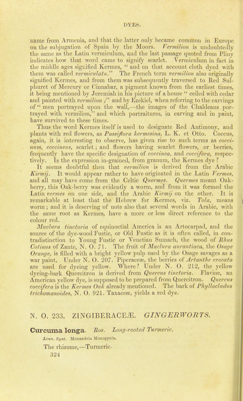 name from Armenia, and that the latter only became common in Europe on the subjugation of Spain by the Moors. Vermilion is undoubtedly the same as the Latin vermiculum, and the last passage quoted from Pliny indicates how that word came to signify scarlet. Vermiculum in fact in the middle ages signified Kermes,  and on that account cloth dyed with them was called vermiculata. The French term vermilion also originally signified Kermes, and from them was subsequently traversed to Red Sul- phuret of Mercury or Cinnabar, a pigment known from the earliest times, it being mentioned by Jeremiah in his picture of a house  ceiled with cedar and painted with vermilion ; and by Ezekiel, when referring to the carvings of men portrayed upon the wall,—the images of the Chaldeans por- trayed with vermilion, and which portraitures, iu carving and in paint, have survived to these times. Thus the word Kermes itself is used to designate Red Antimony, and plants with red flowers, as Passiflora kermesina, L. K. et Otto. Coccus, again, it is interesting to observe, has given rise to such terms as cocci- num, coccineus, scarlet; and flowers having searlet flowers, or berries, frequently have the specific designation of coccinea, and cocci/era, respec- tively. Is the expression in-grained, from granum, the Kermes dye ? It seems doubtful then that vermilion is derived from the Arabic Kirmij. It would appear rather to have originated in the Latin Vermes, and all may have come from the Celtic Quermes. Quermes meant Oak- berry, this Oak-berry was evidently a worm, and from it was formed the Latin vermes on one side, and the Arabic Kirmij on the other. It is remarkable at least that the Hebrew for Kermes, viz. Tola, means worm ; and it is deserving of note also that several words in Arabic, with the same root as Kermes, have a more or less direct reference to the colour red. Muclura tinctoria of equinoctial America is an Artocarpad, and the source of the dye-wood Fustic, or Old Fustic as it is often called, in con- tradistinction to Young Fustic or Venetian Sumach, the wood of Rhus Cotinus of Zante, N. 0. 71. The fruit of Madura aurantiaca, the Osage Orange, is filled with a bright yellow pidp used by the Osage savages as a war paint. Under N. 0. 207. Piperacese, the berries of Artanthe crocata are used for dyeing yellow. Where? Under N. O. 212, the yellow dyeing-bark Quercitron is derived from Quercus tinctoria. Flavine, an American yellow dye, is supposed to be prepared from Quercitron. Quercus cocci/era is the Kermes Oak already mentioned. The bark of P/ii/llocladus trichomanoides, N. 0. 921. Taxaccae, yields a red dye. N. 0. 233. ZINGIBERACEJE. GINGERWORTS. Curcuma longa. Ros. Long-rooted Turmeric. Linn. Syit. Monandria Monogynia. The rhizome,—Turmeric