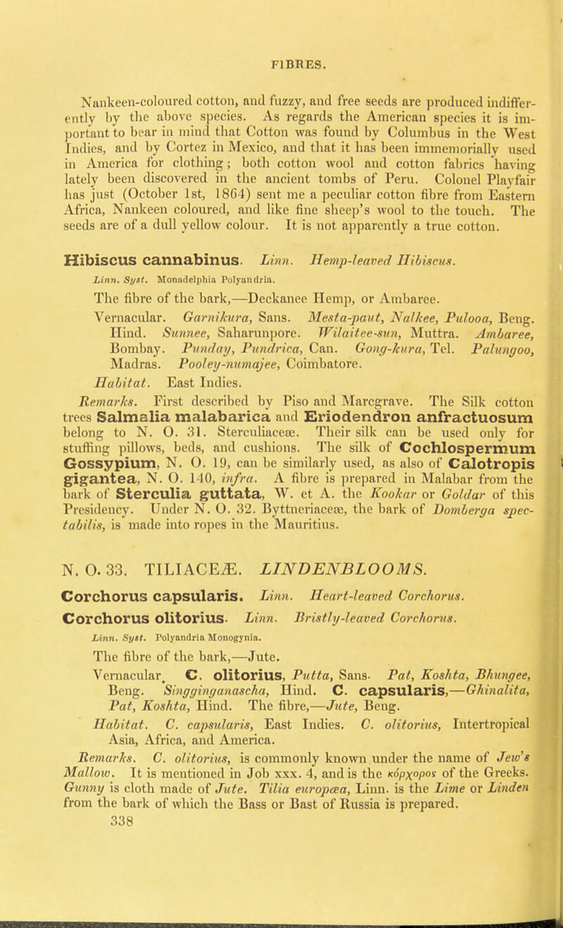 Nankeen-coloured cotton, and fuzzy, and free seeds are produced indiffer- ently by the above species. As regards the American species it is im- portant to bear in mind that Cotton was found by Columbus in the West Indies, and by Cortez in Mexico, and that it has been immemorially used in America for clothing; both cotton wool and cotton fabrics having lately been discovered in the ancient tombs of Peru. Colonel Playfair lias just (October 1st, 1864) sent me a peculiar cotton fibre from Eastern Africa, Nankeen coloured, and like fine sheep's wool to the touch. The seeds are of a dull yellow colour. It is not apparently a true cotton. Hibiscus cannabinus. Linn. Hemp-leaved Hibiscus. Linn. Syst. Monmlelphia Polyan drift. The fibre of the bark,—Deckanee Hemp, or Ambaree. Vernacular. Garnikura, Sans. Mesfa-paitt, Nalkee, Pulooa, Beng. Hind. Sunnee, Saharunpore. Wilaitee-sun, Muttra. Ambaree, Bombay. Punday, Pundrica, Can. Gong-ltura, Tel. Palungoo, Madras. Pooley-numajee, Coimbatore. Habitat. East Indies. Remarks. First described by Piso and Marcgrave. The Silk cotton trees Salmalia malabarica and Eriodendron anfractuosum belong to N. 0. 31. Sterculiacese. Their silk can be used only for stuffing pillows, beds, and cushions. The silk of Cochlospermum Gossypium, N. O. 19, can be similarly used, as also of Calotropis gigantea, N. O. 140, infra. A fibre is prepared in Malabar from the bark of Sterculia guttata, W. et A. the Kookar or Gotdar of this Presidency. Under N. O. 32. Byttneriacese, the bark of Domberga spec- tabilis, is made into ropes in the Mauritius. N. O. 33. TILIACEiE. LINDENBLOOMS. Corchorus capsularis. Linn. Heart-leaved Corchorus. Corchorus olitorius Linn. Bristly-leaved Corchorus. Linn. Sytt. Polyandria Monogynia. The fibre of the bark,—Jute. Vernacular, C. olitorius. Putta, Sans- Pat, Koshta, Bhungee, Beng. Singginganascha, Hind. C. capsularis.—Ghinalita, Pat, Koshta, Hind. The fibre,—Jute, Beng. Habitat. C. capsularis, East Indies. C. olitorius, Intertropical Asia, Africa, and America. Remarks. C. olitorius, is commonly known under the name of Jew's Mallow. It is mentioned in Job xxx. 4, and is the Kopx°pos of the Greeks. Gunny is cloth made of Jute. Tilia europaea, Linn, is the Lime or Linden from the bark of which the Bass or Bast of Russia is prepared.