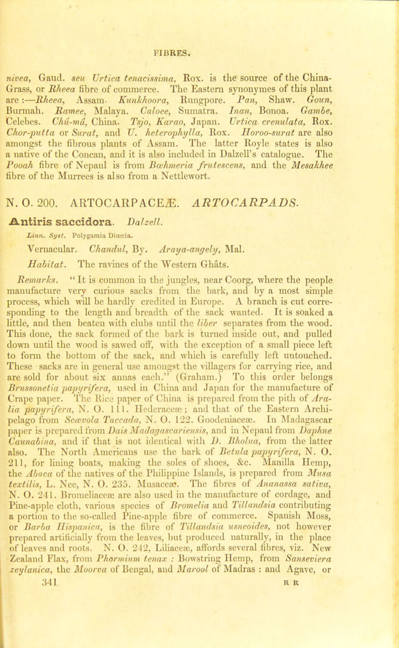nivea, Gaud, sen Urtica tenacissima, Rox. is the source of the China- Grass, or R/teea fibre of commerce. The Eastern synonymes of this plant are:—Rheea, Assam- Kunkhoora, Rungpore. Pan, Shaw. Gown, Burmah. Rnmee, Malaya. Caloee, Sumatra. Inan, Bonoa. Gambe, Celebes. Chu-md, China. Tsjo, Karao, Japan. Urtica crenulata, Rox. Chor-putta or Surat, and U. heterophylla, Rox. Horoo-surat are also amongst the fibrous plants of Assam. The latter Royle states is also a native of the Concan, and it is also included in Dalzell's catalogue. The Pooah fibre of Nepaul is from Bcehmeria frutescens, and the Mesakhee fibre of the Murrees is also from a Nettlewort. N. O. 200. ARTOCARPACEjE. artocarpads. Ant-iris saccidora. Dalzell. Linn. Syst. Polygamia Direcia. Vernacular. Chandul, By. Araya-angely, Mai. Habitat. The ravines of the Western Ghats. Remarks. It is common in the jungles, near Coorg, where the people manufacture very curious sacks from the bark, and by a most simple process, which will be hardly credited in Europe. A branch is cut corre- sponding to the length and breadth of the sack wanted. It is soaked a little, and then beaten with clubs until the liber separates from the wood. This done, the sack formed of the bark is turned inside out, and pulled down until the wood is sawed off, with the exception of a small piece left to form the bottom of the sack, and which is carefully left untouched. These sacks are in general use amongst the villagers for carrying rice, and are sold for about six annas eacb. (Graham.) To this order belongs Brussonetia papyrifera, used in China and Japan for the manufacture of Crape paper. The Rice paper of China is prepared from the pith of Ara- lia papyrifera, N. O. 111. Hederacere; and that of the Eastern Archi- pelago from Sccevola Taccada, N. O. 122. Goodeniacese. In Madagascar paper is prepared from Dais Madagascariensis, and in Nepaul from Dap/me Caunabina, and if that is not identical with D. Bhohia, from the latter also. The North Americans use the bark of Betula papyrifera, N. O. 211, for lining boats, making the soles of shoes, &c. Manilla Hemp, the Abaca of the natives of the Philippine Islands, is prepared from Musa textilis, L. Nee, N. 0. 235. Musacese. The fibres of Ananassa sativa, N. O. 241. Bromeliaccae are also used in the manufacture of cordage, and Pine-apple cloth, various species of Bromelia and Tillandsia contributing a portion to the so-called Pine-apple fibre of commerce. Spanish Moss, or Barba Hispanica, is the fibre of Tillandsia usneoides, not however prepared artificially from the leaves, but produced naturally, in the place of leaves and roots. N. O. 242, Lihacece, affords several fibres, viz. New Zealand Flax, from Phormium tenax : Bowstring Hemp, from Sanseviera zeylanica, the Moorva of Bengal, and Marool of Madras : and Agave, or