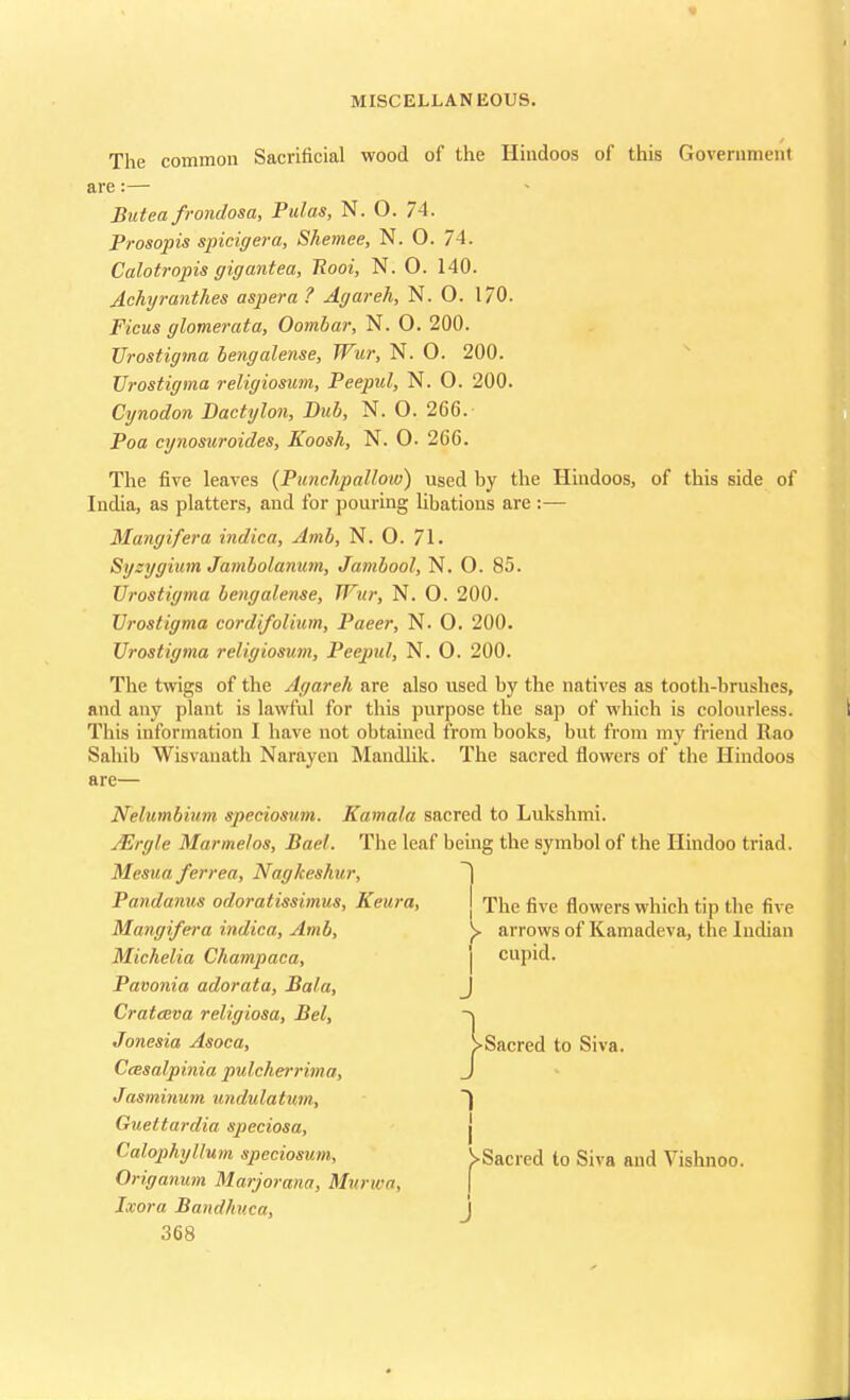 The common Sacrificial wood of the Hindoos of this Government are:— Butea frondosa, Pulas, N. O. 74. Prosopis spicigera, Shemee, N. O. 74. Calotropis gigantea, Jlooi, N. O. 140. Achyranthes aspera ? Agar eh, N. 0. 170. Ficus glomerata, Oombar, N. 0 . 200. TJrostigma bengalense, Wur, N. 0. 200. TJrostigma religiosum, Peepul, N. O. 200. Cynodon Bactylon, Bub, N. O. 266. Poa cynosuroides, Koosh, N. 0. 266. The five leaves (Punchpallow) used hy the Hindoos, of this side of India, as platters, and for pouring lihations are :— Mangifera indica, Amb, N. O. 71. Syzygium Jambolanum, Jambool, N. O. 85. Urostigma bengalense, Wur, N. O. 200. TJrostigma cordifolium, Paeer, N. O. 200. Urostigma religiosum, Peepul, N. O. 200. The twigs of the Agareh are also used by the natives as tooth-brushes, and any plant is lawful for this purpose the sap of which is colourless. This information I have not obtained from books, but from my friend Rao Sahib Wisvanath Narayen Mandlik. The sacred flowers of the Hindoos are— Nelumbium speciosum. Kamala sacred to Lukshmi. Mrgle Marmelos, Bael. The leaf being the symbol of the Hindoo triad. Mesua ferrea, Nagkeshur, Pandanus odoratissimus, Keura, The five flowers which tip the five Mangifera indica, Amb, y arrows of Kamadeva, the Indian Michelia Champaca, j cupid. Pavonia adorata, Bala, J Cratceva religiosa, Bel, -\ Jonesia Asoca, >Sacred to Siva. Ccesalpinia pulcherrima, J Jasminum undulatum, ~) Guettardia speciosa, j Calophyllum speciosum, ^>Sacred to Siva and Vishnoo. Origanum Marjorana, Murwa, Jxora Bandhuca, j