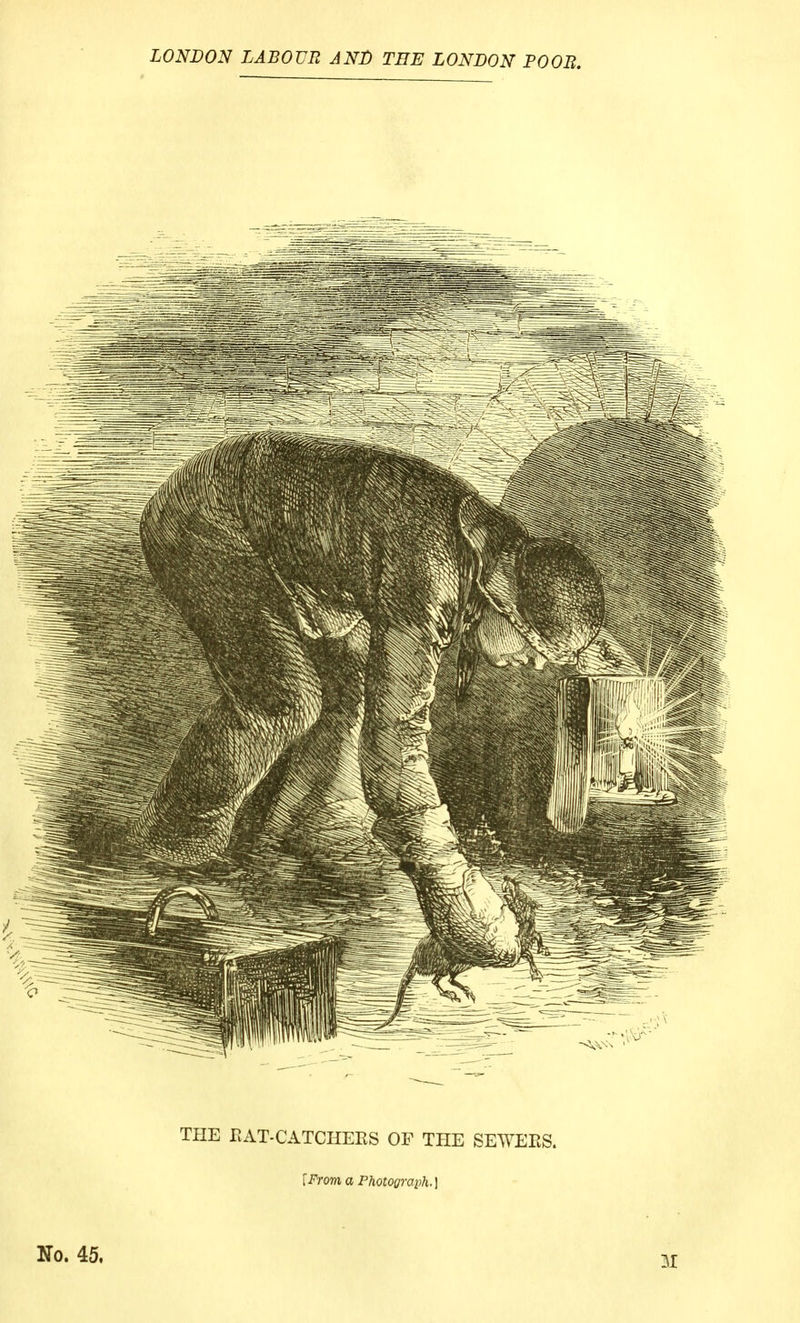 THE RAT-CATCHERS OF THE SEWERS. [From a Photograph.) No. 45.