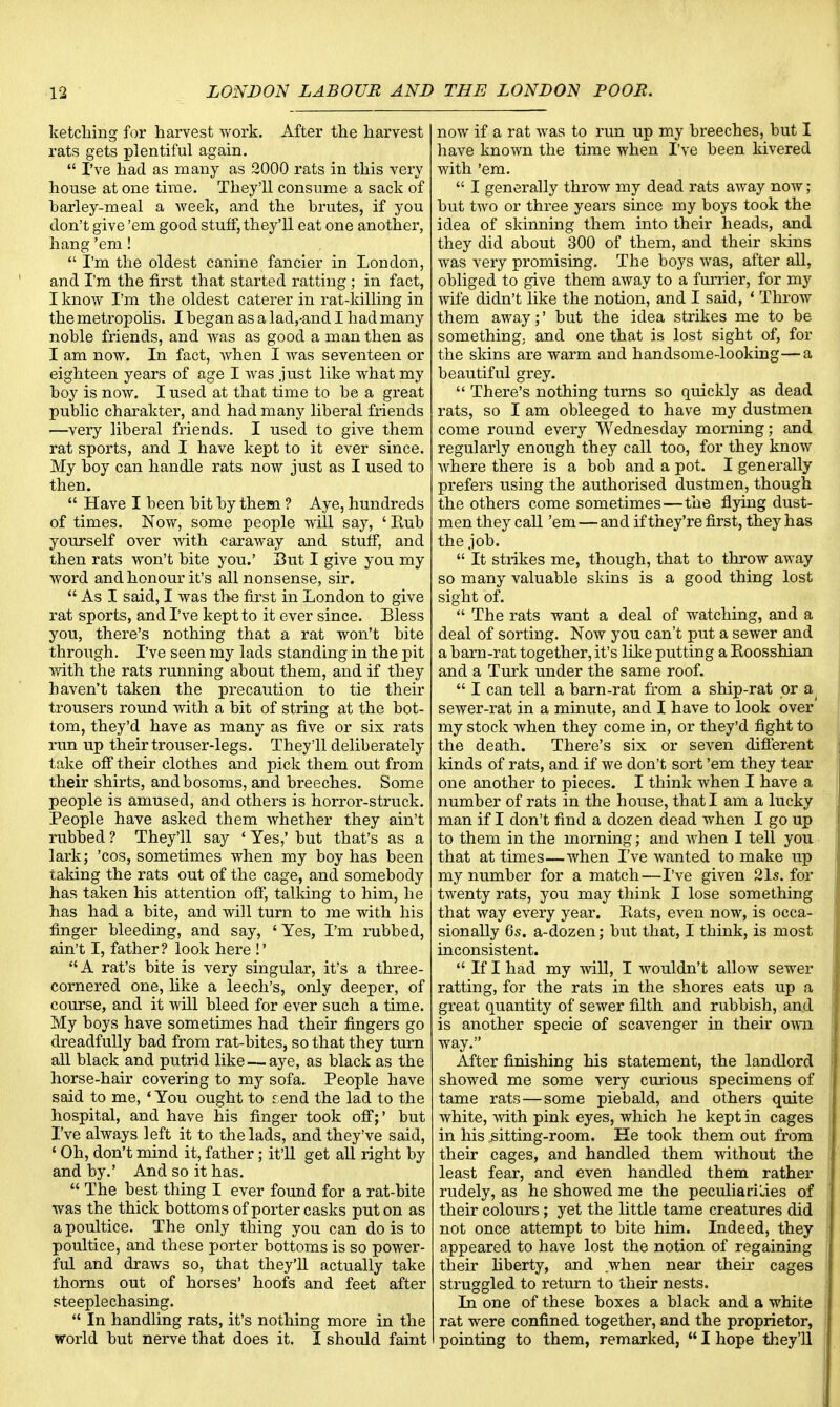 ketching for harvest work. After the harvest rats gets plentiful again.  I've had as many as 2000 rats in this very house at one time. They'll consume a sack of harley-meal a week, and the brutes, if you don't give 'em good stuff, they'll eat one another, hang 'em !  I'm the oldest canine fancier in London, and I'm the first that started ratting ; in fact, I know I'm the oldest caterer in rat-killing in the metropolis. I began as a lad,-and I had many noble friends, and was as good a man then as I am now. In fact, when I was seventeen or eighteen years of age I was just like what my boy is now. I used at that time to be a great public charakter, and had many liberal friends —very liberal friends. I used to give them rat sports, and I have kept to it ever since. My boy can handle rats now just as I used to then.  Have I been bit by them ? Aye, hundreds of times. Now, some people will say, ' Eub yourself over with caraway and stuff, and then rats won't bite you.' Sut I give you my word and honour it's all nonsense, sir.  As I said, I was the first in London to give rat sports, and I've kept to it ever since. Bless you, there's nothing that a rat won't bite through. I've seen my lads standing in the pit with the rats running about them, and if they haven't taken the precaution to tie their trousers round with a bit of string at the bot- tom, they'd have as many as five or six rats run up their trouser-legs. They'll deliberately take off their clothes and pick them out from their shirts, and bosoms, and breeches. Some people is amused, and others is horror-struck. People have asked them whether they ain't rubbed ? They'll say ' Yes,' but that's as a lark; 'cos, sometimes when my boy has been taking the rats out of the cage, and somebody has taken his attention off, talking to him, he has had a bite, and will turn to me with his finger bleeding, and say, 'Yes, I'm rubbed, ain't I, father? look here !' A rat's bite is very singular, it's a three- cornered one, like a leech's, only deeper, of course, and it will bleed for ever such a time. My boys have sometimes had their fingers go dreadfully bad from rat-bites, so that they turn all black and putrid like — aye, as black as the horse-hair covering to my sofa. People have said to me, ' You ought to rend the lad to the hospital, and have his finger took off;' but I've always left it to the lads, and they've said, ' Oh, don't mind it, father; it'll get all right by and by.' And so it has.  The best thing I ever found for a rat-bite was the thick bottoms of porter casks put on as a poultice. The only tiring you can do is to poultice, and these porter bottoms is so power- ful and draws so, that they'll actually take thorns out of horses' hoofs and feet after steeplechasing.  In handling rats, it's nothing more in the world but nerve that does it. I should faint now if a rat was to run up my breeches, but I have known the time when I've been kivered with 'em.  I generally throw my dead rats away now; but two or three years since my boys took the idea of skinning them into their heads, and they did about 300 of them, and their skins was very promising. The boys was, after all, obliged to give them away to a furrier, for my wife didn't like the notion, and I said, 1 Throw them away;' but the idea strikes me to be something, and one that is lost sight of, for the skins are warm and handsome-looking—a beautiful grey.  There's nothing turns so quickly as dead rats, so I am obleeged to have my dustmen come round every Wednesday morning; and regularly enough they call too, for they know where there is a bob and a pot. I generally prefers using the authorised dustmen, though the others come sometimes—the flying dust- men they call 'em — and if they're first, they has the job.  It strikes me, though, that to throw away so many valuable skins is a good thing lost sight of.  The rats want a deal of watching, and a deal of sorting. Now you can't put a sewer and a barn-rat together, it's like putting a Koosshian and a Turk under the same roof.  I can tell a barn-rat from a ship-rat or a sewer-rat in a minute, and I have to look over' my stock when they come in, or they'd fight to the death. There's six or seven different kinds of rats, and if we don't sort 'em they tear one another to pieces. I think when I have a number of rats in the house, that I am a lucky man if I don't find a dozen dead when I go up to them in the morning; and when I tell you that at times—when I've wanted to make up my number for a match—I've given 21s. for twenty rats, you may think I lose something that way every year. Eats, even now, is occa- sionally 6s. a-dozen; but that, I think, is most inconsistent.  If I had my will, I wouldn't allow sewer ratting, for the rats in the shores eats up a great quantity of sewer filth and rubbish, and is another specie of scavenger in their own way. After finishing his statement, the landlord showed me some very curious specimens of tame rats — some piebald, and others quite white, with pink eyes, which he kept in cages in his fitting-room. He took them out from their cages, and handled them without the least fear, and even handled them rather rudely, as he showed me the peculiarities of their colours ; yet the little tame cr eatures did not once attempt to bite him. Indeed, they appeared to have lost the notion of regaining their liberty, and .when near their cages struggled to return to their nests. In one of these boxes a black and a white rat were confined together, and the proprietor, pointing to them, remarked,  I hope they'll