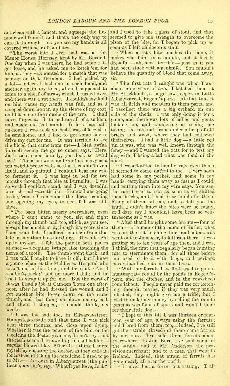 out clean with a lancet, and squeege the hu- mour well from it, and that's the only way to cure it thorough — as you see my hands is all covered with scars from bites. The worst bite I ever had was at the Manor House, Hornsey, kept by Mr. Burnell. One day when I was there, he had some rats get loose, and he asked me to ketch 'em for him, as they was wanted for a match that was coming on that afternoon. I had picked up a lot—indeed, I had one in each hand, and another again my knee, when I happened to come to a sheaf of straw, which I turned over, and there was a rat there. I couldn't lay hold on him 'cause my hands was full, and as I stooped down he ran up the sleeve of my coat, and bit me on the muscle of the arm. I shall never forget it. It turned me all of a sudden, and made me feel numb. In less than half- an-hour I was took so bad I was obleeged to be sent home, and I had to get some one to drive my cart for me. It was terrible to see the blood that came from me — I bled awful. Bunnell seeing me go so queer, says,' Here, Jack, take some brandy, you.look so awful bad.' The arm swole, and went as heavy as a ton weight pretty well, so that I couldn't even lift it, and so painful I couldn't bear my wife to ferment it. I was kept in bed for two months through that bite at Burnell's. I was so weak I couldn't stand, and I was dreadful feverish—all waronth like. I knew I was going to die, 'cause I remember the doctor coming and opening my eyes, to see if I was still alive.  I've been bitten nearly everywhere, even where I can't name to you, sir, and right through my thumb nail too, which, as you see, always has a split in it, though it's years since I was wounded. I suffered as much from that bite on my thumb as anything. It went right up to my ear. I felt the pain in both places at once — a regular twinge, like touching the nerve of a tooth. The thumb went black, and I was told I ought to have it off; but I knew a young chap at the Middlesex Hospital who wasn't out of his time, and he said, ' No, I wouldn't, Jack;' and no more I did ; and he used to strap it up for me. But the worst of it was, I had a job at Camden Town one after- noon after he had dressed the wound, and I got another bite lower down on the same thumb, and that flung me down on my bed, and there I stopped, I should think, six weeks.  I was bit bad, too, in Edwards-street, Hampstead-road; and that time I was sick near three months, and close upon dying. Whether it was the poison of the bite, or the medicine the doctor give me, I can't say; but the flesh seemed to swell up like a bladder — regular blowed like. After all, I think I cured myself by cheating the doctor, as they calls it; for instead of taking the medicine, I used to go to Mr. 's house in Albany-street (the pub- lican), and he'd say, 1 What'll yer have, Jack?' and I used to take a glass of stout, and that seemed to give me strength to overcome the pison of the bite, for I began to pick up as soon as I left off doctor's stuff.  When a rat's bite touches the bone, it makes you faint in a minute, and it bleeds dreadful — ah, most terrible—just as if you had been stuck with a penknife. You couldn't believe the quantity of blood that come away, sir. « The first rats I caught was when I was about nine years of age. I ketched them at Mr. Strickland's, a large cow-keeper, in Little Albany-street, Regent's-park. At that time it was all fields and meaders in them parts, and I recollect there was a big orchard on one side of the sheds. 1 was only doing it for a game, and there was lots of ladies and gents looking on, and wondering at seeing me taking the rats out from under a heap of old bricks and wood, where they had collected theirselves. I had a little dog — a little red 'un it was, who was well known through the fancy — and I wanted the rats for to test my dog with, I being a lad what was fond of the sport.  I wasn't afraid to handle rats even then ; it seemed to come nat'ral to me. I very soon had some in my pocket, and some in my hands, carrying them away as fast as I could, and putting them into my wire cage. You see, the rats began to run as soon as we shifted them bricks, and I had to scramble for them. Many of them bit me, and, to tell you the truth, I didn't know the bites were so many, or I dare say I shouldn't have been so ven- turesome as I was.  After that I bought some ferruts—four of them — of a man of the name of Butler, what was in the rat-ketching line, and afterwards went out to Jamaicer, to kill rats there. I was getting on to ten years of age then, and I was, I think, the first that regularly began hunting rats to sterminate them; for all those before me used to do it with drugs, and perhaps never handled rats in their lives.  With my ferruts I at first used to go out hunting rats round by the ponds in Regent's- park, and the ditches, and in the cow-sheds roundabout. People never paid me for ketch- ing, though, maybe, if they was very much infested, they might give me a trifle; but I used to make my money by selling the rats to gents as was fond of sport, and wanted them for their little dogs.  I kept to this till I was thirteen or four- teen year of age, always using the ferruts; and I bred from them, too,—indeed, I've still got the ' strain' (breed) of them same ferruts by me now. I've sold them ferruts about everywhere; to Jim Burn I've sold some of the strain; and to Mr. Anderson, the pro- vision-merchant; and to a man that went to Ireland. Indeed, that strain of ferruts has gone nearly all over the world.  I never lost a ferrut out ratting. I ai-