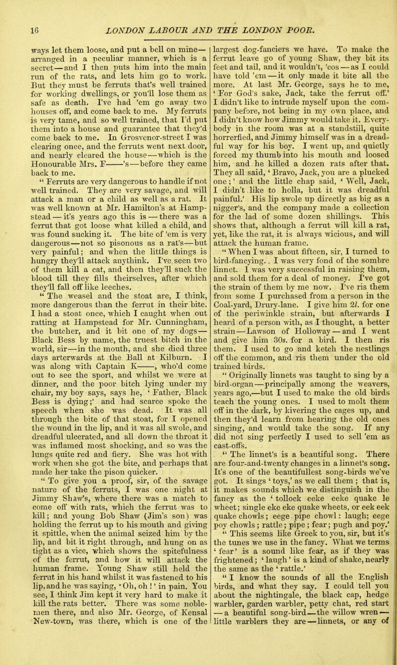 ways let them loose, and put a bell on mine- arranged in a peculiar manner, which is a secret—and I then puts him into the main run of the rats, and lets him go to work. But they must be ferruts that's well trained for working dwellings, or you'll lose them as safe as death. I've had 'em go away two houses off, and come back to me. My ferruts is very tame, and so well trained, that I'd put them into a house and guarantee that they'd come back to me. In Grosvenor-street I was clearing once, and the ferruts went next door, and nearly cleared the house—which is .the Honourable Mrs. F 's—before they came back to me.  Ferruts are very dangerous to handle if not well trained. They are very savage, and will attack a man or a child as well as a rat. It was well known at Mr. Hamilton's at Hamp- stead — it's years ago this is — there was a ferrut that got loose what killed a child, and was found sucking it. The bite of 'em is very dangerous—not so pisonous as a rat's—but very painful; and when the little things is hungry they'll attack anythink. I've, seen two of them kill a cat, and then they'll suck the blood till they fills theirselves, after which they'll fall off like leeches.  The weasel and the stoat are, I think, more dangerous than the ferrut in their bite. I had a stoat once, which I caught when out ratting at Hampstead for Mr. Cunningham, the butcher, and it bit one of my dogs— Black Bess by name, the truest bitch in the world, sir—in the mouth, and she died three days arterwards at the Ball at Kilburn. I was along with Captain K , who'd come out to see the sport, and whilst we were at dinner, and the poor bitch lying under my chair, my boy says, says he, ' Father, Black Bess is dying;' and had scarce spoke the speech when she was dead. It was all through the bite of that stoat, for I opened the wound in the lip, and it was all swole, and dreadful ulcerated, and all down the throat it was inflamed most shocking, and so was the lungs quite red and fiery. She was hot with work when she got the bite, and perhaps that made her take the pison quicker.  To give you a proof, sir, of the savage nature of the ferruts, I was one night at Jimmy Shaw's, where there was a match to come off with rats, which the ferrut was to kill; and young Bob Shaw (Jim's son) was holding the ferrut up to his mouth and giving it spittle, when the animal seized him by the lip, and bit it right through, and hung on as tight as a vice, which shows the spitefulness of the ferrut, and how it will attack the human frame. Young Shaw still held the ferrut in his hand whilst it was fastened to his lip, and he Avas saying, ■ Oh, oh !' in pain. You see, I think Jim kept it very hard to make it kill the rats better. There was some noble- men there, and also Mr. George, of Kensal New-town, was there, which is one of the largest dog-fanciers we have. To make the ferrut leave go of young Shaw, they bit its feet and tail, and it wouldn't, 'cos — as I could have told 'em—it only made it bite all the more. At last Mr. George, says he to me, ' For God's sake, Jack, take the ferrut off.' I didn't like to intrude myself upon the com- pany before, not being in my own place, and I didn't know how Jimmy would take it. Every- body in the room was at a standstill, quite horrerfied, and Jimmy himself was in a dread- ful way for his boy. I went up, and quietly forced my thumb into his mouth and loosed him, and he killed a dozen rats after that. They all said, ' Bravo, Jack, you are a plucked one ;' and the little chap said, 4 Well, Jack, I didn't. like to holla, but it was dreadful painful.' His lip swole up directly as big as a nigger's, and the company made a collection for the lad of some dozen shillings. This shows that, although a ferrut Avill kill a rat, yet, like the rat, it is always wicious, and will attack the human frame.  When I was about fifteen, sir, I turned to bird-fancying.. I was very fond of the sombre linnet. I was very successful in raising them, and sold them for a deal of money. I've got the strain of them by me now. I've ris them from some I purchased from a person in the Coal-yard, Drury-lane. I give him 21. for one of the periwinkle strain, but afterwards I heard of a person with, as I thought, a better strain—Lawson of Holloway — and I went and give him 30s. for a bird. I then ris them. I used to go and ketch the nestlings off the common, and ris them under the old trained birds.  Originally linnets was taught to sing by a bird-organ — principally among the weavers, years ago,—but I used to make the old birds teach the young ones. I used to molt them off in the dark, by kivering the cages up, and then they'd learn from hearing the old ones singing, and would take the song. If any did not sing perfectly I used to sell 'em as cast-offs.  The linnet's is a beautiful song. There are four-and-twenty changes in a linnet's song. It's one of the beautifullest song-birds we've got. It sings ' toys,' as we call them ; that is, it makes sounds which we distinguish in the fancy as the ' tollock eeke eeke quake le wheet; single eke eke quake wheets, or eek eek quake chowls; eege pipe chowl: laugh; eege poy chowls ; rattle; pipe ; fear; pugh and poy.'  This seems like Greek to you, sir, but it's the tunes we use in the fancy. What we terms ' fear' is a sound like fear, as if they was frightened; ' laugh' is a kind of shake, nearly the same as the ' rattle.'  I know the sounds of all the English birds, and what they say. I could tell you about the nightingale, the black cap, hedge warbler, garden warbler, petty chat, red start — a beautiful song-bird—the willow wren — little warblers they are—linnets, or any of