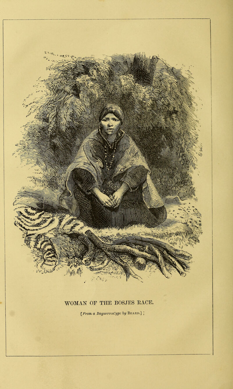 WOMAN OF THE BOSJES EACE. IFrom a Daguerreotype hy Beard.] ;