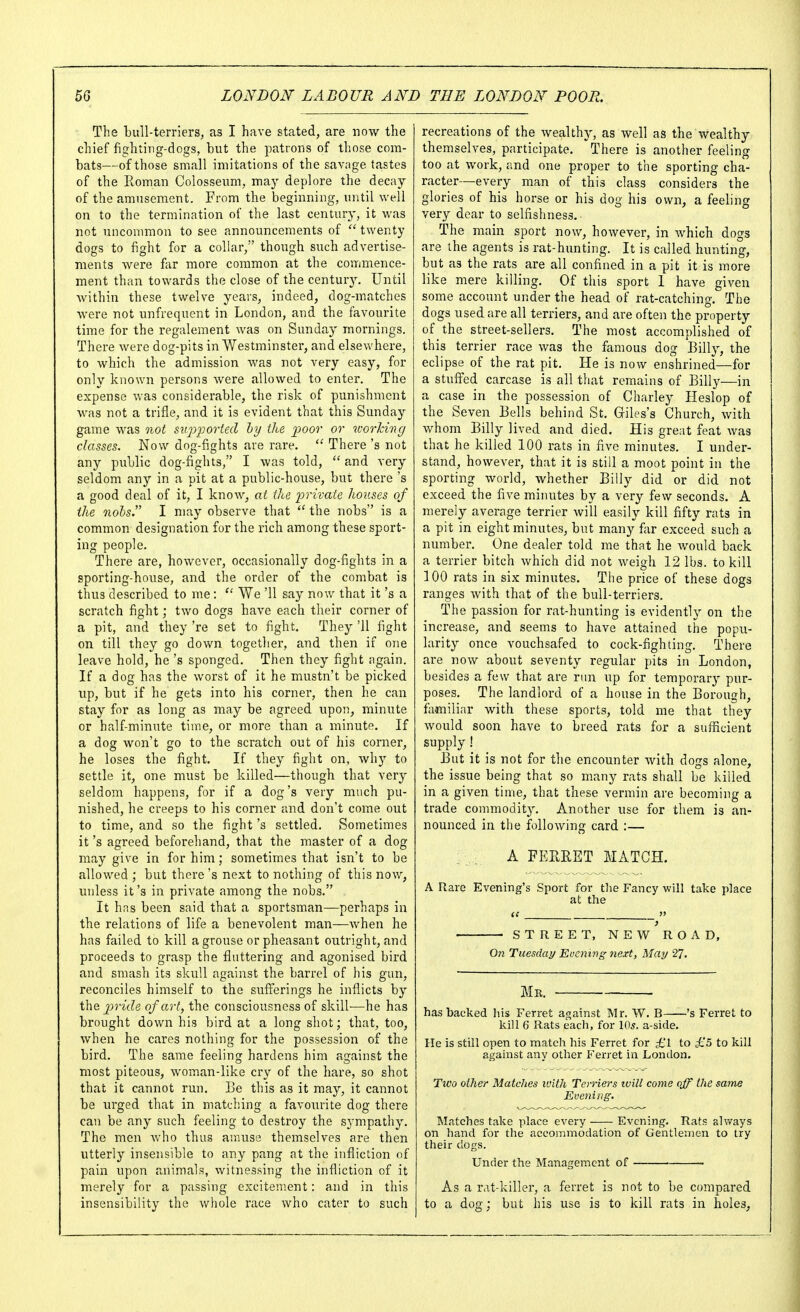 The bull-terriers, as I have stated, are now the chief fighting-dogs, but the patrons of those com- bats—of those small imitations of the savage tastes of the Eoman Colosseum, may deplore the decay of the amusement. From the beginning, until well on to the termination of the last century, it was not uncommon to see announcements of  twenty dogs to fight for a collar, though such advertise- ments were far more common at the commence- ment than towards the close of the centurj'-. Until within these twelve years, indeed, dog-matches were not unfrequent in London, and the favourite time for the regalement was on Sunday mornings. There were dog-pits in Westminster, and elsewhere, to which the admission was not very easy, for only known persons were allowed to enter. The expense was considerable, the risk of punishment was not a trifle, and it is evident that this Sunday game was not siipported hy the j)oor or worhivg classes. Now dog-fights are rare.  There's not any public dog-fights, I was told,  and very seldom any in a pit at a public-house, but there's a good deal of it, I know, at the private houses of the nobs. I may observe that  the nobs is a common designation for the rich among these sport- ing people. There are, however, occasionally dog-fights in a sporting-house, and the order of the combat is thus described to me:  We '11 say now that it's a scratch fight; two dogs have each their corner of a pit, and they 're set to fight. They '11 fight on till they go dovv^n together, and then if one leave hold, he's sponged. Then they fight again. If a dog has the worst of it he mustn't be picked up, but if he gets into his corner, then he can stay for as long as may be agreed upon, minute or half-minute time, or more than a minute. If a dog won't go to the scratch out of his corner, he loses the fight. If they fight on, why to settle it, one must be killed—though that very seldom happens, for if a dog's very much pu- nished, he creeps to his corner and don't come out to time, and so the fight's settled. Sometimes it's agreed beforehand, that the master of a dog may give in for him; sometimes that isn't to be allowed ; but there's next to nothing of this now, unless it's in private among the nobs. It has been said that a sportsman—perhaps in the relations of life a benevolent man—when he has failed to kill a grouse or pheasant outright, and proceeds to grasp the flattering and agonised bird and smash its skull against the barrel of his gun, reconciles himself to the sufferings he inflicts by the pride of art, the consciousness of skill—he has brought down his bird at a long shot; that, too, when he cares nothing for the possession of the bird. The same feeling hardens him against the most piteous, woman-like cry of the hare, so shot that it cannot run. Be this as it may, it cannot be urged that in matching a favourite dog there can be any such feeling to destroy the sympathy. The men who thus amuse themselves are then utterly insensible to any pang at the infliction of pain upon animals, witnessing the infliction of it merely for a passing excitement: and in this insensibility the whole race who cater to such recreations of the wealthy, as well as the wealthy themselves, participate. There is another feeling too at work, and one proper to the sporting cha- racter—every man of this class considers the glories of his horse or his dog his own, a feeling very dear to selfishness. The main sport now, however, in Avhich dogs are the agents is rat-hunting. It is called hunting, but as the rats are all confined in a pit it is more like mere killing. Of this sport 1 have given some account under the head of rat-catching. The dogs used are all terriers, and are often the property of the street-sellers. The most accomplished of this terrier race was the famous dog Billy, the eclipse of the rat pit. He is now enshrined—for a stuffed carcase is all that remains of Billy—in a case in the possession of Charley Heslop of the Seven Bells behind St. Giles's Church, with whom Billy lived and died. His great feat was that he killed 100 rats in five minutes. I under- stand, however, that it is still a moot point in the sporting world, whether Billy did or did not exceed the five minutes by a very few seconds. A merely average terrier will easily kill fifty rats in a pit in eight minutes, but many far exceed such a number. One dealer told me that he would back a terrier bitch which did not weigh 12 lbs. to kill 100 rats in six minutes. The price of these dogs ranges with that of the bull-terriers. The passion for rat-hunting is evidently on the increase, and seems to have attained the popu- larity once vouchsafed to cock-fighting. There are now about seventy regular pits in London, besides a few that are run up for temporary pur- poses. The landlord of a house in the Borough, familiar with these sports, told me that they would soon have to breed rats for a sufficient supply! But it is not for the encounter with dogs alone, the issue being that so many rats shall be killed in a given time, that these vermin are becoming a trade commodity. Another use for them is an- nounced in the following card :— A FERRET MATCH. A Rare Evening's Sport for the Fancy will take place at the iC J> ) STREET, NEW ROAD, On Tuesday Eucning next, May 27. Mr. has backed his Ferret against Mr. W. B 's Ferret to kill 6 Rats each, for lOs. a-side. He is still open to match his Ferret for £l to £5 to kill against any other Ferret in London. Two other Matches loith Terriers tvill come off the same Evening. Matches take place every Evening. Rats always on hand for the accommodation of Gentlemen to try their dogs. Under the Management of ■ As a rat-killer, a ferret is not to be compared to a dog; but his use is to kill rats in holes,