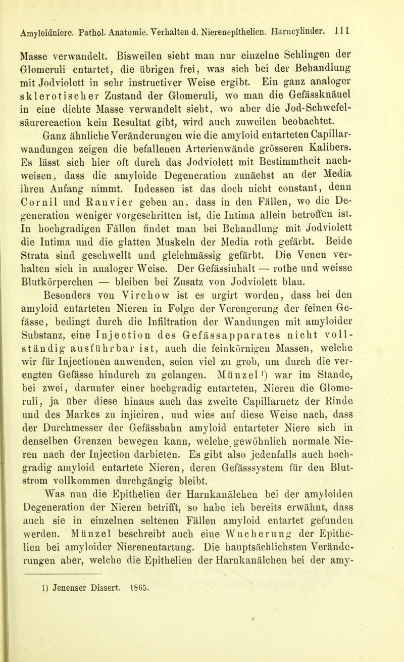 Masse verwandelt. Bisweilen sieht man nur einzelne Schlingen der Glomeruli entartet, die übrigen frei, was sich bei der Behandlung mit Jodviolett in sehr instructiver Weise ergibt. Ein ganz analoger sklerotischer Zustand der Glomeruli, wo man die Gefässknäuel in eine dichte Masse verwandelt sieht, wo aber die Jod-Schwefel- säurereaction kein Resultat gibt, wird auch zuweilen beobachtet. Ganz ähnliche Veränderungen wie die amyloid entarteten Capillar- wandungen zeigen die befallenen Arterienwände grösseren Kalibers. Es lässt sich hier oft durch das Jodviolett mit Bestimmtheit nach- weisen, dass die amyloide Degeneration zunächst an der Media ihren Anfang nimmt. Indessen ist das doch nicht constant, denn Cornil und Ran vi er geben an, dass in den Fällen, wo die De- generation weniger vorgeschritten ist, die Intima allein betroffen ist. In hochgradigen Fällen findet man bei Behandlung mit Jodviolett die Intima und die glatten Muskeln der Media roth gefärbt. Beide Strata sind geschwellt und gleichmässig gefärbt. Die Venen ver- halten sich in analoger Weise. Der Gefässinhalt — rothe und weisse Blutkörperchen — bleiben bei Zusatz von Jodviolett blau. Besonders von Virchow ist es urgirt worden, dass bei den amyloid entarteten Nieren in Folge der Verengerung der feinen Ge- fässe, bedingt durch die Infiltration der Wandungen mit amyloider Substanz, eine Injection des Gefässapparates nicht voll- ständig ausführbar ist, auch die feinkörnigen Massen, welche wir für Injectionen anwenden, seien viel zu grob, um durch die ver- engten Gefässe hindurch zu gelangen. MünzeP) war im Stande, bei zwei, darunter einer hochgradig entarteten, Nieren die Glome- ruli, ja über diese hinaus auch das zweite Capillarnetz der Rinde und des Markes zu injiciren, und wies auf diese Weise nach, dass der Durchmesser der Gefässbahn amyloid entarteter Niere sich in denselben Grenzen bewegen kann, welche, gewöhnlich normale Nie- ren nach der Injection darbieten. Es gibt also jedenfalls auch hoch- gradig amyloid entartete Nieren, deren Gefässsystem für den Blut- strom vollkommen durchgängig bleibt. Was nun die Epithelien der Harnkanälchen bei der amyloiden Degeneration der Nieren betrifft, so habe ich bereits erwähnt, dass auch sie in einzelnen seltenen Fällen amyloid entartet gefunden werden. Münzel beschreibt auch eine Wucherung der Epithe- lien bei amyloider Nierenentartung. Die hauptsächlichsten Verände- rungen aber, welche die Epithelien der Harnkanälchen bei der amy- 1) Jenenser Dissert. 1865.