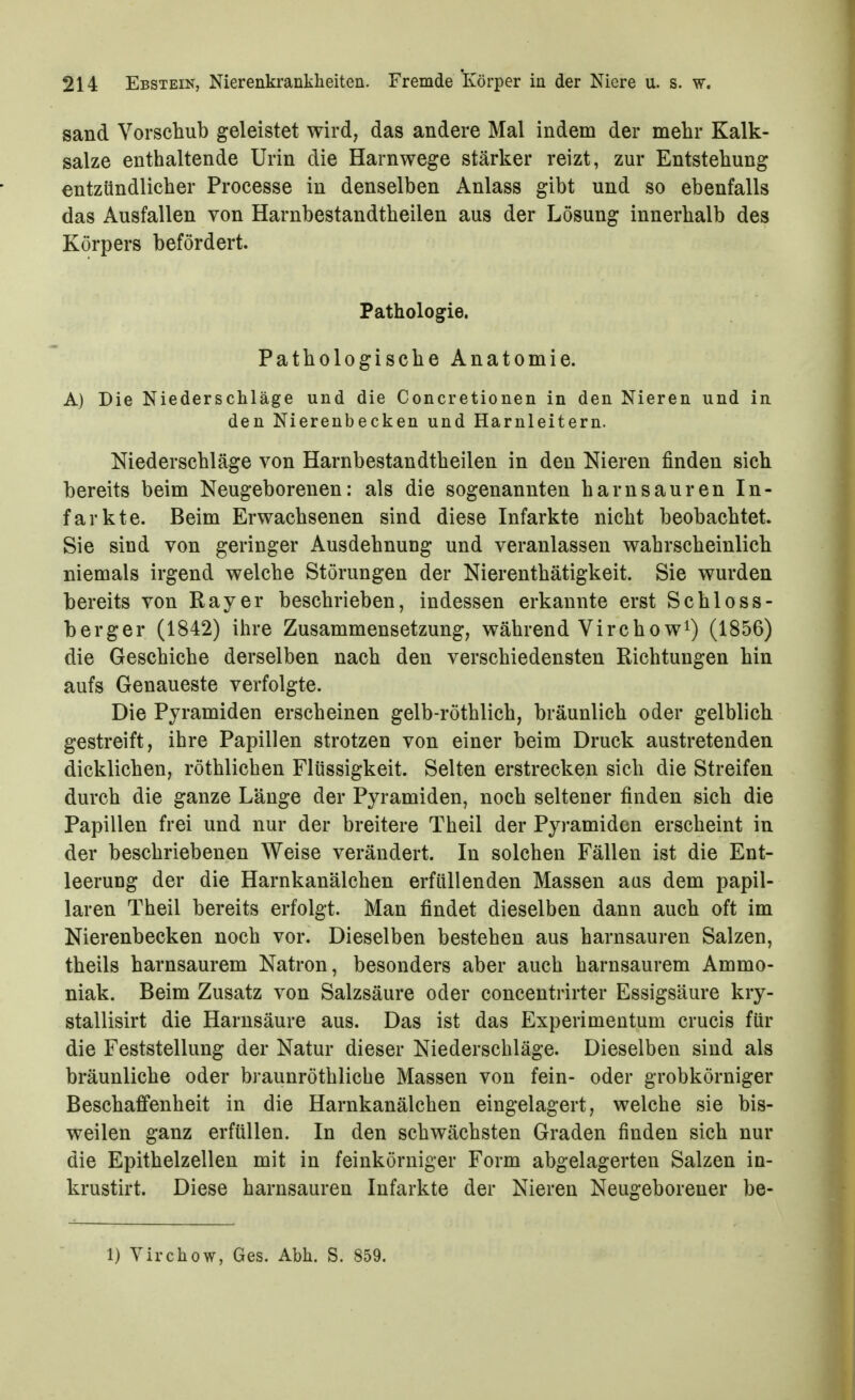 sand Vorschub geleistet wird, das andere Mal indem der mehr Kalk- salze enthaltende Urin die Harnwege stärker reizt, zur Entstehung entzündlicher Processe in denselben Anlass gibt und so ebenfalls das Ausfallen von Harnbestandtheilen aus der Lösung innerhalb des Körpers befördert. Pathologie. Pathologische Anatomie. A) Die Niederschläge und die Concretionen in den Nieren und in den Nierenbecken und Harnleitern. Niederschläge von Harnbestandtheilen in den Nieren finden sich bereits beim Neugeborenen: als die sogenannten harnsauren In- farkte. Beim Erwachsenen sind diese Infarkte nicht beobachtet. Sie sind von geringer Ausdehnung und veranlassen wahrscheinlich niemals irgend welche Störungen der Nierenthätigkeit. Sie wurden bereits von Ray er beschrieben, indessen erkannte erst Schloss- berger (1842) ihre Zusammensetzung, während Virchow^) (1856) die Geschiebe derselben nach den verschiedensten Richtungen hin aufs Genaueste verfolgte. Die Pyramiden erscheinen gelb-röthlich, bräunlich oder gelblich gestreift, ihre Papillen strotzen von einer beim Druck austretenden dicklichen, röthlichen Flüssigkeit. Selten erstrecken sich die Streifen durch die ganze Länge der Pyramiden, noch seltener finden sich die Papillen frei und nur der breitere Theil der Pyramiden erscheint in der beschriebenen Weise verändert. In solchen Fällen ist die Ent- leerung der die Harnkanälchen erfüllenden Massen aas dem papil- lären Theil bereits erfolgt. Man findet dieselben dann auch oft im Nierenbecken noch vor. Dieselben bestehen aus harnsauren Salzen, theils harnsaurem Natron, besonders aber auch harnsaurem Ammo- niak. Beim Zusatz von Salzsäure oder concentrirter Essigsäure kry- stallisirt die Harnsäure aus. Das ist das Experimentum crucis für die Feststellung der Natur dieser Niederschläge. Dieselben sind als bräunliche oder braunröthliche Massen von fein- oder grobkörniger Beschaffenheit in die Harnkanälchen eingelagert, welche sie bis- weilen ganz erfüllen. In den schwächsten Graden finden sich nur die Epithelzellen mit in feinkörniger Form abgelagerten Salzen in- krustirt. Diese harnsauren Infarkte der Nieren Neugeborener be- 1) Virchow, Ges. Abk. S. 859.