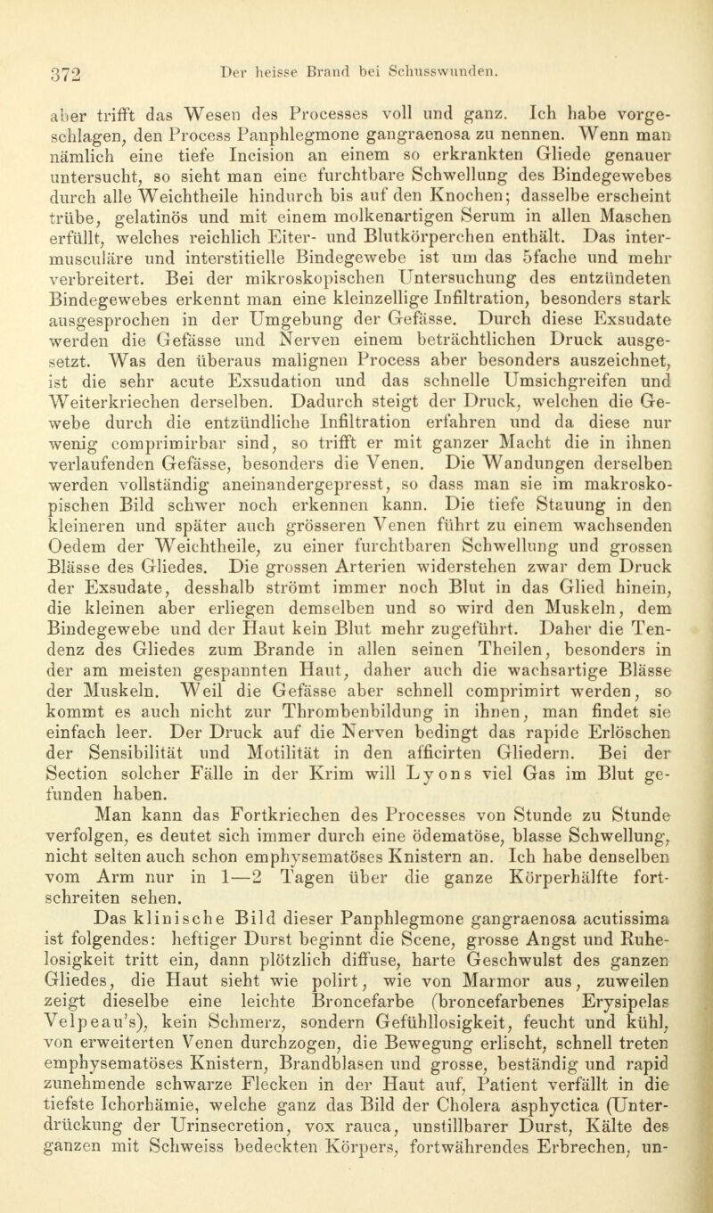 aber trifft das Wesen des Processes voll und ganz. Ich habe vorge- schlagen, den Process Panphlegmone gangraenosa zu nennen. Wenn man nämlich eine tiefe Incision an einem so erkrankten Gliede genauer untersucht, so sieht man eine furchtbare Schwellung des Bindegewebes durch alle Weichtheile hindurch bis auf den Knochen; dasselbe erscheint trübe, gelatinös und mit einem molkenartigen Serum in allen Maschen erfüllt, welches reichlich Eiter- und Blutkörperchen enthält. Das inter- musculäre und interstitielle Bindegewebe ist um das 5fache und mehr verbreitert. Bei der mikroskopischen Untersuchung des entzündeten Bindegewebes erkennt man eine kleinzellige Infiltration, besonders stark ausgesprochen in der Umgebung der Gefässe. Durch diese Exsudate werden die Gefässe und Nerven einem beträchtlichen Druck ausge- setzt. Was den überaus malignen Process aber besonders auszeichnet, ist die sehr acute Exsudation und das schnelle Umsichgreifen und Weiterkriechen derselben. Dadurch steigt der Druck, welchen die Ge- webe durch die entzündliche Infiltration erfahren und da diese nur wenig comprimirbar sind, so trifft er mit ganzer Macht die in ihnen verlaufenden Gefässe, besonders die Venen. Die Wandungen derselben werden vollständig aneinandergepresst, so dass man sie im makrosko- pischen Bild schwer noch erkennen kann. Die tiefe Stauung in den kleineren und später auch grösseren Venen führt zu einem wachsenden Oedem der Weichtheile, zu einer furchtbaren Schwellung und grossen Blässe des Gliedes. Die grossen Arterien widerstehen zwar dem Druck der Exsudate, desshalb strömt immer noch Blut in das Glied hinein, die kleinen aber erliegen demselben und so wird den Muskeln, dem Bindegewebe und der Haut kein Blut mehr zugeführt. Daher die Ten- denz des Gliedes zum Brande in allen seinen Theilen, besonders in der am meisten gespannten Haut, daher auch die wachsartige Blässe der Muskeln. Weil die Gefässe aber schnell comprimirt werden, so kommt es auch nicht zur Thrombenbildung in ihnen, man findet sie einfach leer. Der Druck auf die Nerven bedingt das rapide Erlöschen der Sensibilität und Motilität in den afficirten Gliedern. Bei der Section solcher Fälle in der Krim will Lyons viel Gas im Blut ge- funden haben. Man kann das Fortkriechen des Processes von Stunde zu Stunde verfolgen, es deutet sich immer durch eine ödematöse, blasse Schwellung, nicht selten auch schon emphysematöses Knistern an. Ich habe denselben vom Arm nur in 1—2 Tagen über die ganze Körperhälfte fort- schreiten sehen. Das klinische Bild dieser Panphlegmone gangraenosa acutissima ist folgendes: heftiger Durst beginnt die Scene, grosse Angst und Ruhe- losigkeit tritt ein, dann plötzlich diffuse, harte Geschwulst des ganzen Gliedes, die Haut sieht wie polirt, wie von Marmor aus, zuweilen zeigt dieselbe eine leichte Broncefarbe (broncefarbenes Erysipelas Velpeau's), kein Schmerz, sondern Gefühllosigkeit, feucht und kühl, von erweiterten Venen durchzogen, die Bewegung erlischt, schnell treten emphysematöses Knistern, Brandblasen und grosse, beständig und rapid zunehmende schwarze Flecken in der Haut auf, Patient verfällt in die tiefste Ichorhämie, welche ganz das Bild der Cholera äsphyctica (Unter- drückung der Urinsecretion, vox rauca, unstillbarer Durst, Kälte des ganzen mit Schweiss bedeckten Körpers, fortwährendes Erbrechen, un-