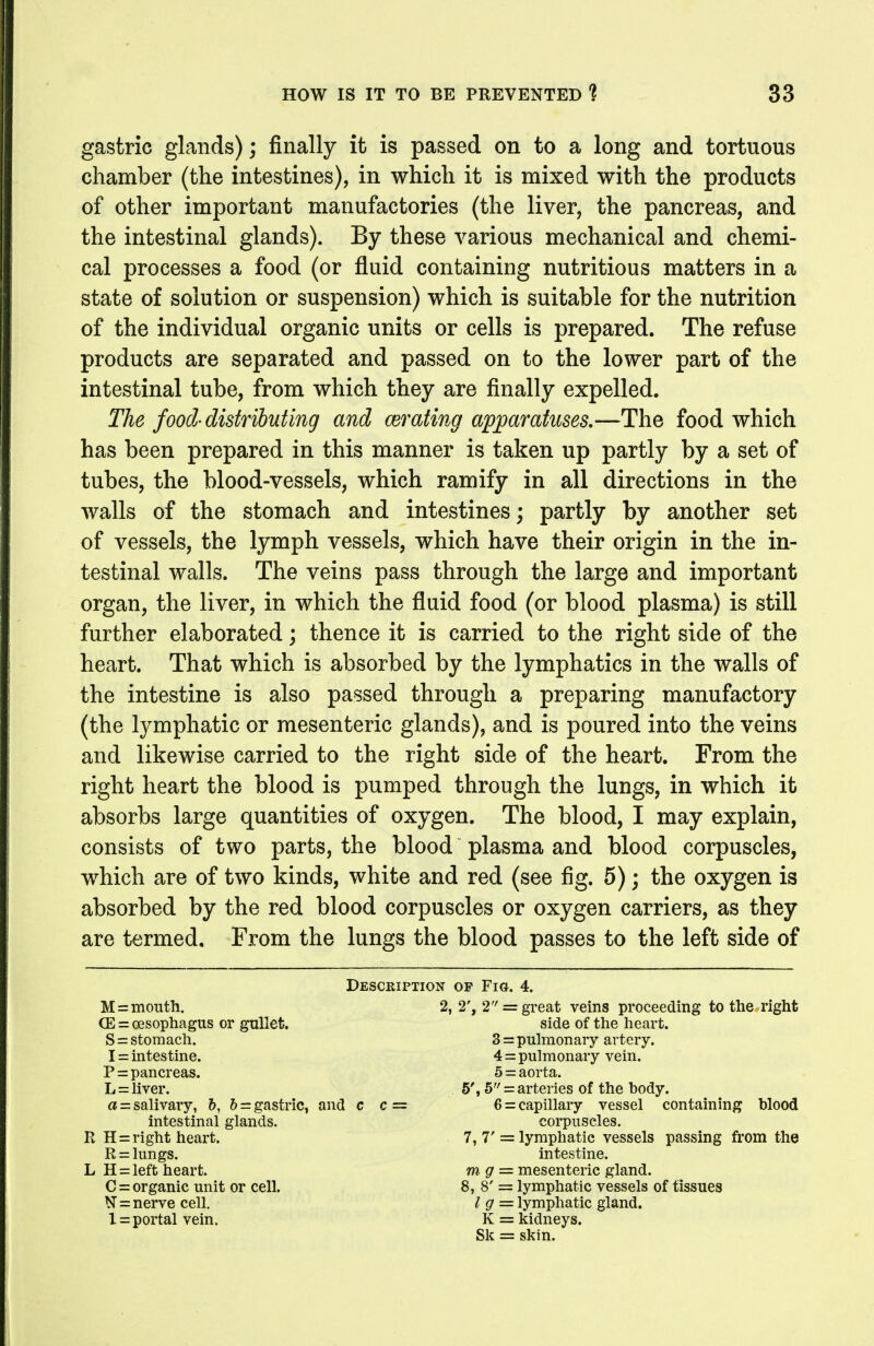 gastric glands); finally it is passed on to a long and tortuous chamber (the intestines), in which it is mixed with the products of other important manufactories (the liver, the pancreas, and the intestinal glands). By these various mechanical and chemi- cal processes a food (or fluid containing nutritious matters in a state of solution or suspension) which is suitable for the nutrition of the individual organic units or cells is prepared. The refuse products are separated and passed on to the lower part of the intestinal tube, from which they are finally expelled. The food-distributing and derating apparatuses.—The food which has been prepared in this manner is taken up partly by a set of tubes, the blood-vessels, which ramify in all directions in the walls of the stomach and intestines; partly by another set of vessels, the lymph vessels, which have their origin in the in- testinal walls. The veins pass through the large and important organ, the liver, in which the fluid food (or blood plasma) is still further elaborated; thence it is carried to the right side of the heart. That which is absorbed by the lymphatics in the walls of the intestine is also passed through a preparing manufactory (the lymphatic or mesenteric glands), and is poured into the veins and likewise carried to the right side of the heart. From the right heart the blood is pumped through the lungs, in which it absorbs large quantities of oxygen. The blood, I may explain, consists of two parts, the blood plasma and blood corpuscles, which are of two kinds, white and red (see fig. 5); the oxygen is absorbed by the red blood corpuscles or oxygen carriers, as they are termed. From the lungs the blood passes to the left side of Description op Fig. 4. M=mouth. (E = oesophagus or gullet. S = stomach. I = intestine. P = pancreas. L = liver. a = salivary, b, b = gastric, and c c = 2, 2', 2 = great veins proceeding to the right side of the heart. 3 = pulmonary artery. 4 = pulmonary vein. 5 = aorta. 5% 5 = arteries of the body. 6 = capillary vessel containing Wood R H = right heart. R = lungs. intestinal glands. corpuscles. 7, 7' = lymphatic vessels passing from the L H = left heart. C = organic unit or cell. N = nerve cell. 1 = portal vein. intestine. mg — mesenteric gland. 8, 8' = lymphatic vessels of tissues I g = lymphatic gland. K = kidneys. Sk = skin.