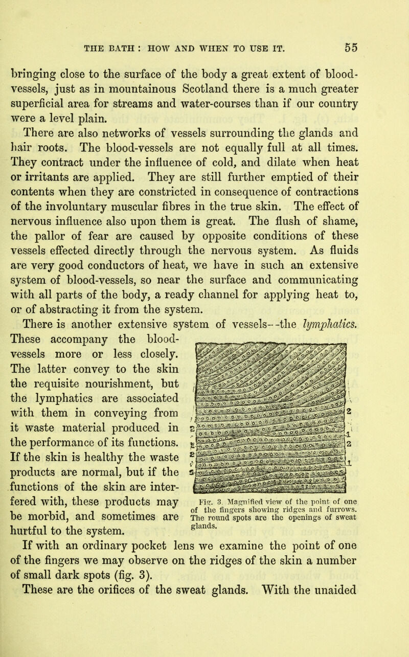 bringing close to the surface of the body a great extent of blood- vessels, just as in mountainous Scotland there is a much greater superficial area for streams and water-courses than if our country- were a level plain. There are also networks of vessels surrounding the glands and hair roots. The blood-vessels are not equally full at all times. They contract under the influence of cold, and dilate when heat or irritants are applied. They are still further emptied of their contents when they are constricted in consequence of contractions of the involuntary muscular fibres in the true skin. The effect of nervous influence also upon them is great. The flush of shame, the pallor of fear are caused by opposite conditions of these vessels effected directly through the nervous system. As fluids are very good conductors of heat, we have in such an extensive system of blood-vessels, so near the surface and communicating with all parts of the body, a ready channel for applying heat to, or of abstracting it from the system. There is another extensive system of vessels- -the lympJiatics. These accompany the blood- vessels more or less closely. The latter convey to the skin the requisite nourishment, but the lymphatics are associated with them in conveying from it waste material produced in the performance of its functions. If the skin is healthy the waste products are normal, but if the functions of the skin are inter- fered with, these products may be morbid, and sometimes are hurtful to the system. If with an ordinary pocket lens we examine the point of one of the fingers we may observe on the ridges of the skin a number of small dark spots (fig. 3). These are the orifices of the sweat glands. With the unaided Fis;. 3. Magnified view of the point of one of the fingers showing ridges and furrows. The round spots are the openings of sweat glands.