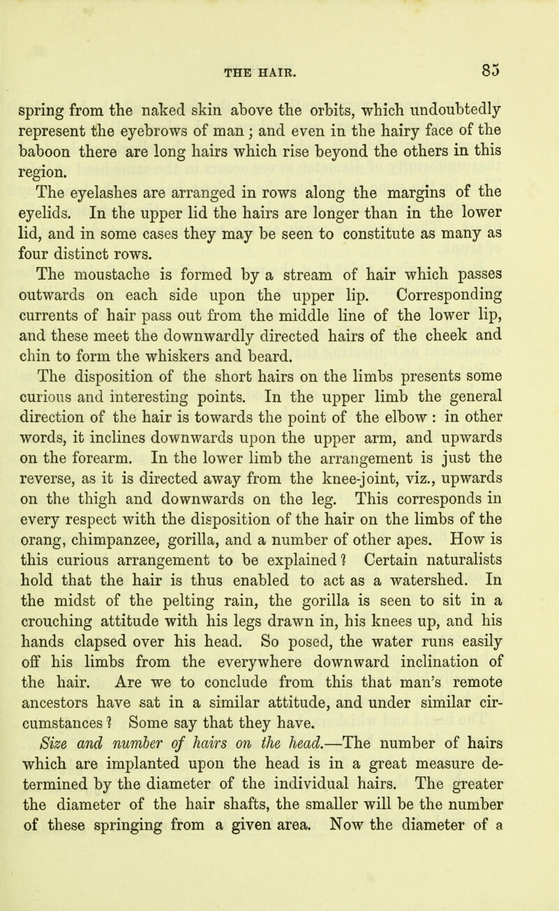 83 spring from the naked skin above the orbits, which undoubtedly represent the eyebrows of man; and even in the hairy face of the baboon there are long hairs which rise beyond the others in this region. The eyelashes are arranged in rows along the margins of the eyelids. In the upper lid the hairs are longer than in the lower lid, and in some cases they may be seen to constitute as many as four distinct rows. The moustache is formed by a stream of hair which passes outwards on each side upon the upper lip. Corresponding currents of hair pass out from the middle line of the lower lip, and these meet the downwardly directed hairs of the cheek and chin to form the whiskers and beard. The disposition of the short hairs on the limbs presents some curious and interesting points. In the upper limb the general direction of the hair is towards the point of the elbow : in other words, it inclines downwards upon the upper arm, and upwards on the forearm. In the lower limb the arrangement is just the reverse, as it is directed away from the knee-joint, viz., upwards on the thigh and downwards on the leg. This corresponds in every respect with the disposition of the hair on the limbs of the orang, chimpanzee, gorilla, and a number of other apes. How is this curious arrangement to be explained? Certain naturalists hold that the hair is thus enabled to act as a watershed. In the midst of the pelting rain, the gorilla is seen to sit in a crouching attitude with his legs drawn in, his knees up, and his hands elapsed over his head. So posed, the water runs easily off his limbs from the everywhere downward inclination of the hair. Are we to conclude from this that man's remote ancestors have sat in a similar attitude, and under similar cir- cumstances ? Some say that they have. Size and number of hairs on the head,—The number of hairs which are implanted upon the head is in a great measure de- termined by the diameter of the individual hairs. The greater the diameter of the hair shafts, the smaller will be the number of these springing from a given area. Now the diameter of a