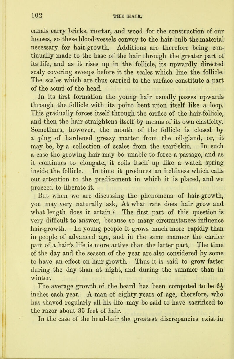 canals carry bricks, mortar, and wood for the construction of our houses, so these blood-vessels convey to the hair-bulb the.material necessary for hair-growth. Additions are therefore being con- tinually made to the base of the hair through the greater part of its life, and as it rises up in the follicle, its upwardly directed scaly covering sweeps before it the scales which line the follicle. The scales which are thus carried to the surface constitute a part of the scurf of the head. In its first formation the young hair usually passes upwards through the follicle with its point bent upon itself like a loop. This gradually forces itself through the orifice of the hair-follicle, and then the hair straightens itself by means of its own elasticity. Sometimes, however, the mouth of the follicle is closed by a plug of hardened greasy matter from the oil-gland, or, it may be, by a collection of scales from the scarf-skin. In such a case the growing hair may be unable to force a passage, and as it continues to elongate, it coils itself up like a watch spring inside the follicle. In time it produces an itchiness which calls our attention to the predicament in which it is placed, and we proceed to liberate it. But when we are discussing the phenomena of hair-growth, you may very naturally ask, At what rate does hair grow and what length does it attain 1 The first part of this question is very difficult to answer, because so many circumstances influence hair-growth. In young people it grows much more rapidly than in people of advanced age, and in the same manner the earlier part of a hair's life is more active than the latter part. The time of the day and the season of the year are also considered by some to have an eff'ect on hair-growth. Thus it is said to grow faster during the day than at night, and during the summer than in winter. The average growth of the beard has been computed to be 6^ inches each year. A man of eighty years of age, therefore, who has shaved regularly all his life may be said to have sacrificed to the razor about 35 feet of hair. In the case of the head-hair the greatest discrepancies exist in