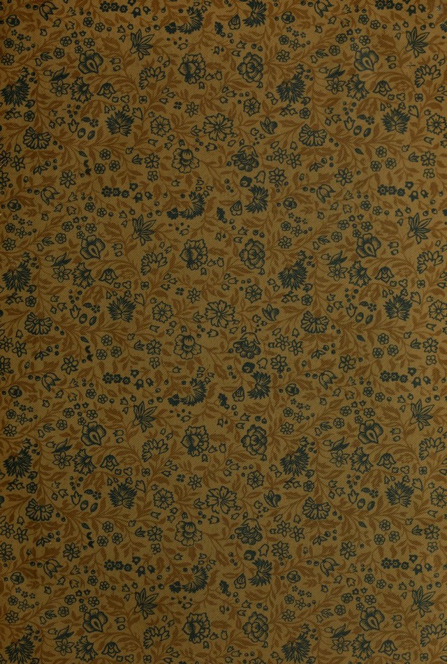digitised image 3