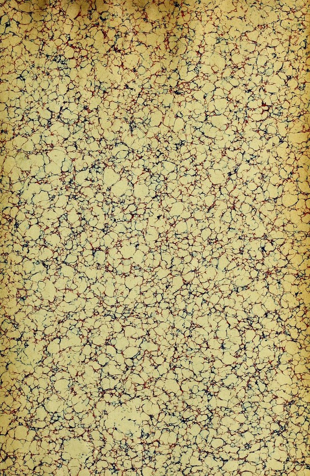 digitised image 3