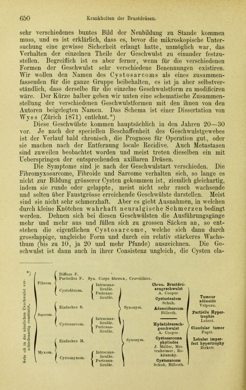 sehr verschiedenes buntes Bild der Neubildung zu Stande kommen muss, und es ist erklärlich, dass es, bevor die mikroskopische Unter- suchung eine gewisse Sicherheit erlangt hatte, unmöglich war, das Verhalten der einzelnen Theile der Geschwulst zu einander festzu- stellen. Begreiflich ist es aber ferner, wenn für die verschiedenen Formen der Geschwulst sehr verschiedene Benennungen existiren. Wir wollen den Namen des Cystosarcoms als eines zusammen- fassenden für die ganze Gruppe beibehalten, es ist ja aber selbstver- ständlich, dass derselbe für die einzelne Geschwulstform zu modificiren wäre. Der Kürze halber geben wir unten eine schematische Zusammen- stellung der verschiedenen Geschwulstformen mit den ihnen von den Autoren beigelegten Namen. Das Schema ist einer Dissertation von Wyss (Zürich 1871) entlehnt.*) Diese Geschwülste kommen hauptsächlich in den Jahren 20—30 vor. Je nach der speciellen Beschaffenheit des Geschwulstgewebes ist der Verlauf bald chronisch, die Prognose für Operation gut, oder sie machen nach der Entfernung locale Recidive. Auch Metastasen sind zuweilen beobachtet worden und meist treten dieselben ein mit Ueberspringen der entsprechenden axillaren Drüsen. Die Symptome sind je nach der Geschwulstart verschieden. Die Fibromyxosarcome, Fibroide und Sarcome verhalten sich, so lange es nicht zur Bildung grösserer Cysten gekommen ist, ziemlich gleichartig, indem sie runde oder gelappte, meist nicht sehr rasch wachsende imd selten über Faustgrösse erreichende Geschwülste darstellen. Meist sind sie nicht sehr schmerzhaft. Aber es giebt Ausnahmen, in welchen durch kleme Knötchen wahrhaft neuralgische Schmerzen bedingt werden. Dehnen sich bei diesen Geschwülsten die Ausführungsgänge mehr und mehr aus und füllen sich zu grossen Säcken an, so ent- stehen die eigentlichen Cystosarcome, welche sich dann durch grosslappige, ungleiche Form und durch ein relativ stärkeres Wachs- thum (bis zu 10, ja 20 und mehr Pfunde) auszeichnen. Die Ge- schwulst ist dann auch in ihrer Consistenz ungleich, die Cysten ela- Fibrom Sarcom. j3 a Myxom. Diffuse F. Partielles F. Cystofibrom. Einfaclies S. Cystosarcom. Einfaches M. Cystomyxom. Syn. Corps fibreux, Cruveilhier. f Intracana- I liculär. 1 Pericana- I liculär. Intracana- liculär. Pericana- liculär. Intracana- liculär. Pericana- liculär. Synonym. Synonym. Chron, Brustdrü- sengesobwnlat A. Cooper. Cystosteatom Schuh. Adenoidsarcom Billroth. Hydatidensack- geschwulst A. Cooper. Cystosarooma phyllodea J. Müller, Met- tenheimer, Ro- kitansky. Cystosarcom Schuh, Billroth. Tumeur adenoide Velpeau. Partielle Hyper- trophie Leben. Glaudular tumor Paget. lobular imper- feot hypertrophy Birkett.