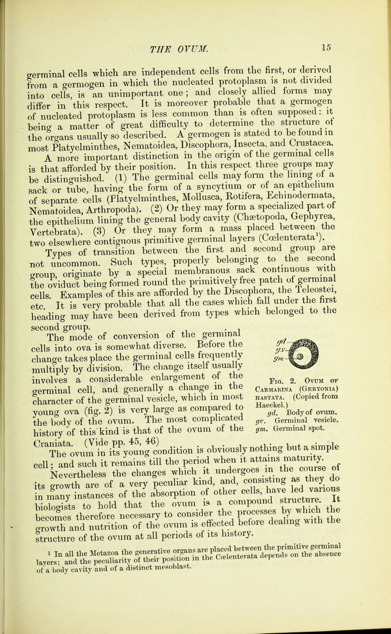 germinal cells which are independent cells from the first, or derived from a germogen in which the nucleated protoplasm is not divided into cells, is an unimportant one ; and closely allied forms may differ in this respect. It is moreover probable that a germogen of nucleated protoplasm is less common than is often supposed: it being a matter of great difficulty to determine the structure ot the organs usually so described. A germogen is stated to be found in most Platyelminthes, Nematoidea, Discophora, Insecta, and Crustacea. A more important distinction in the origin of the germinal cells is that aff'orded by their position. In this respect three groups may be distinguished. (1) The germinal cells may form the lining of a sack or tube, having the form of a syncytium or of an epithelium of separate cells (Platyelminthes, Molliisca, Rotifera, Lchinodermata Nematoidea, Arthropoda). (2) Or they may form a specialized part of the epithelium lining the general body cavity (Chaetopoda, Gephyrea, Vertebrata). (3) Or they may form a mass placed between the two elsewhere contiguous primitive germmal layers (Coelenterata ). Tvpes of transition between the first and second group are not uncommon. Such types, properly belonging to the secand group, originate by a special membranous sack continuous with the oviduct beingformed round the primitively free patch of germinal cells. Examples^of this are afforded by the Discophora, the le^ostei etc It is very probable that all the cases which fall under the first heading may have been derived from types which belonged to the second group. . The mode of conversion of the germinal cells into ova is somewhat diverse. Before the fv^^^ change takes place the germinal cells frequent y W multiply by division. The change itself usually ^%a^ involves a considerable enlargement ot the Fig. 2. Ovum op o-erminal cell, and generally a change m the cakmartna (Geryonia) character of the germinal vesicle, which m most hasxata (Copied from young ova (fig. 2) is very large as compared to • Body of ovum. the body of the ovum. The most complicated Germinal vesicle, history of thiskind is that of the ovum of the gm. Germinal spot. ^uEirsV-fcondition is obviously nothing butasi^ple cell and such it remains till the period when it attains maturity. Nevertheless the changes which it undergoes m the course of its growth are of a very peculiar kind, and, consisting as they do in mlny instances of thJ absorption of other cells, have led vanou WoSs to hold that the ovum i. a compound struc ure. It becomes therefore necessary to consider the processes by which he .rowTh and nutrition of the ovum is effected before dealing with the structure of the ovum at all periods of its history. ofa bodv cavitv and of a distinct mesoblast.