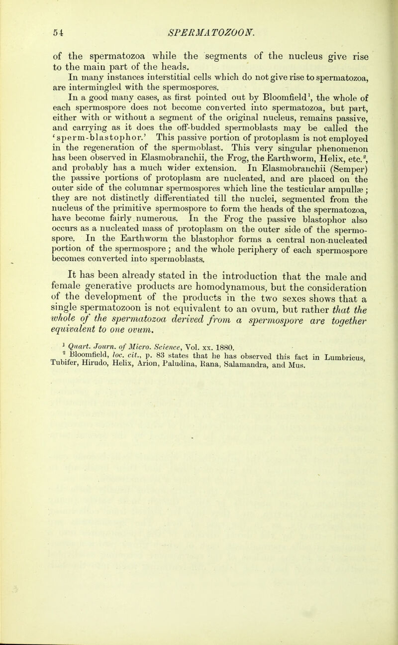 of the spermatozoa while the segments of the nucleus give rise to the main part of the heads. In many instances interstitial cells which do not give rise to spermatozoa, are intermingled with the spermospores. In a good many cases, as first pointed out by Bloomfield\ the whole of each spermospore does not become converted into spermatozoa, but part, either with or without a segment of the original nucleus, remains passive, and carrying as it does the off-budded spermoblasts may be called the 'sperm-blastophor.' This passive portion of protoplasm is not employed in the regeneration of the spermoblast. This very singular phenomenon has been observed in Elasmobranchii, the Frog, the Earthworm, Helix, etc.^ and probably has a much wider extension. In Elasmobranchii (Semper) the passive portions of protoplasm are nucleated, and are placed on the outer side of the columnar spermospores which line the testicular ampullae; they are not distinctly differentiated till the nuclei, segmented from the nucleus of the primitive spermospore to form the heads of the spermatozoa, have become fairly numerous. In the Frog the passive blastophor also occurs as a nucleated mass of protoplasm on the outer side of the spermo- spore. In the Earthworm the blastophor forms a central non-nucleated portion of the spermospore; and the whole periphery of each spermospore becomes converted into spermoblasts. It has been already stated in the introduction that the male and female generative products are homodynamous, but the consideration of the development of the products in the two sexes shows that a single spermatozoon is not equivalent to an ovum, but rather that the whole, of the spermatozoa derived from a spermospore are together equivalent to one ovum. J Quart. Journ. of Micro. Science, Vol. xx. 1880. Bloomfield, loc. cit., p. 83 states that he has observed this fact in Lumbricus Tubifer, Hirudo, Hehx, Arion, Paludina, Eana, Salamandra, and Mus.