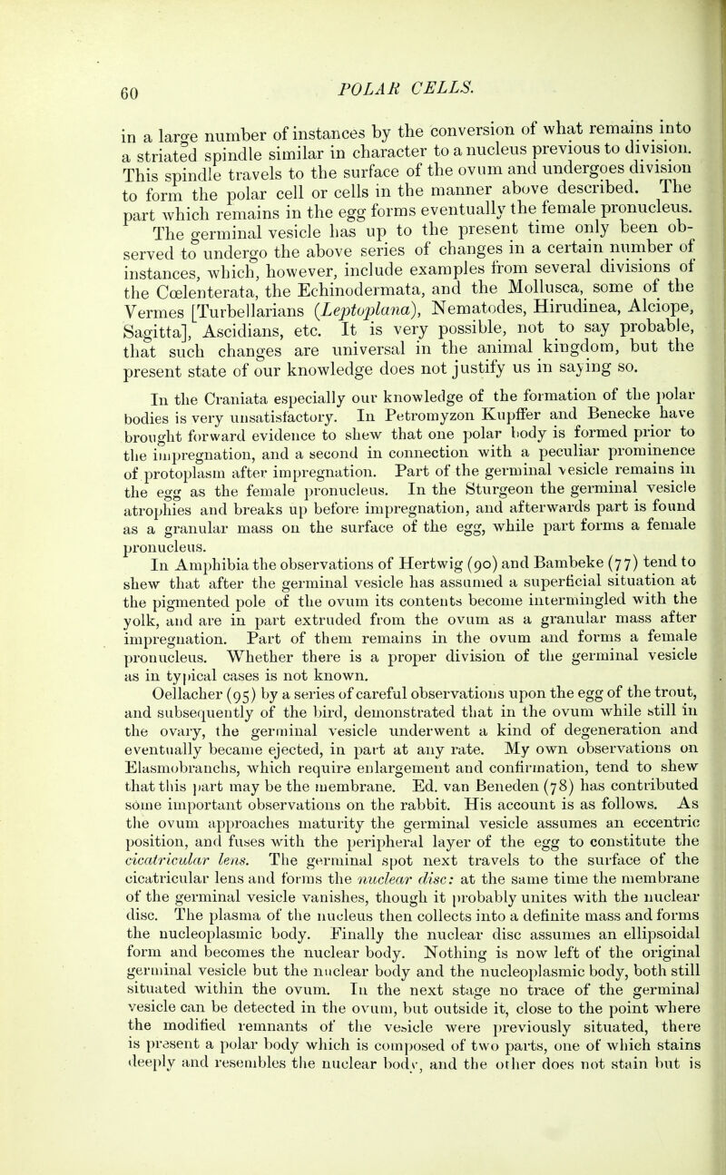 in a laro-e number of instances by the conversion of what remains into a striated spindle similar in character to a nucleus previous to division. This spindle travels to the surface of the ovum and undergoes division to form the polar cell or cells in the manner above described. The part which remains in the egg forms eventually the female pronucleus. The germinal vesicle has up to the present time only been ob- served to undergo the above series of changes in a certain nuniber of instances, which, however, include examples from several divisions of the Coelenterata, the Echinodermata, and the Mollusca, some of the Vermes [Turbellarians {Leptoplana), Nematodes, Hirudinea, Alciope, Sagitta], Ascidians, etc. It is very possible, not to say probable, that such changes are universal in the animal kingdom, but the present state of our knowledge does not justify us in saying so. In the Craniata especially our knowledge of the formation of the polar bodies is very unsatisfactory. In Petromyzon Kupffer and Benecke^ have brought forward evidence to shew that one polar body is formed pnor to tlie impregnation, and a second in connection with a peculiar prominence of protoplasm after impregnation. Part of the germinal \esicle remains in the egg as the female pronucleus. In the Sturgeon the germinal vesicle atrophies and breaks up before impregnation, and afterwards part is found as a granular mass on the surface of the egg, while part forms a female pi'onucleus. In Amphibia the observations of Hertwig (90) and Bambeke (77) tend to shew that after the germinal vesicle has assumed a superficial situation at the pigmented pole of the ovum its contents become intermingled with the yolk, and are in part extruded from the ovum as a granular mass after impregnation. Part of them remains in the ovum and forms a female pronucleus. Whether there is a proper division of the germinal vesicle as in typical cases is not known. Oellacher (95) by a series of careful observations upon the egg of the trout, and subsequently of the bird, demonstrated that in the ovum while still in the ovary, the germinal vesicle underwent a kind of degeneration and eventually became ejected, in part at any rate. My own observations on Elasmobranchs, which require enlargement and confirmation, tend to shew that this i)art may be the membrane. Ed. van Beneden (78) has contributed some important observations on the rabbit. His account is as follows. As the ovum approaches maturity the germinal vesicle assumes an eccentric position, and fuses with the peripheral layer of the egg to constitute the cicatricular lens. The germinal spot next travels to the surface of the cicatricular lens and fotras the nuclear disc: at the same time the membrane of the germinal vesicle vanishes, though it [irobably unites with the nuclear disc. The plasma of the nucleus then collects into a definite mass and forms the nucleoplasmic body. Einally the nuclear disc assumes an ellipsoidal form and becomes the nuclear body. Nothing is now left of the original germinal vesicle but the nuclear body and the nucleoplasmic body, both still situated within the ovum. In the next stage no trace of the germinal vesicle can be detected in the ovum, but outside it, close to the point where the modified remnants of the vehicle were previously situated, there is present a polar body which is composed of two parts, one of which stains deeply and resembles the nuclear bodv, and the other does not stain but is